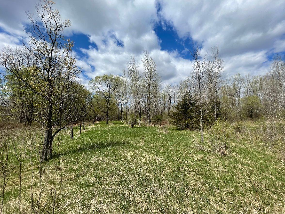 View of Land at TBD 170th Street, Hugo MN 55038, Hugo (2 of 29) - Mike Wilen | Minnesota Team Real Estate