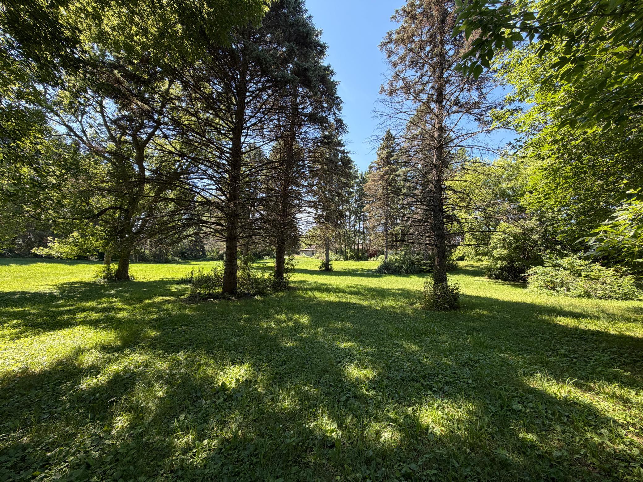 View of Residential at 11039 181st Avenue, Elk River MN 55330, Elk River (4 of 19) - Mike Wilen | Minnesota Team Real Estate