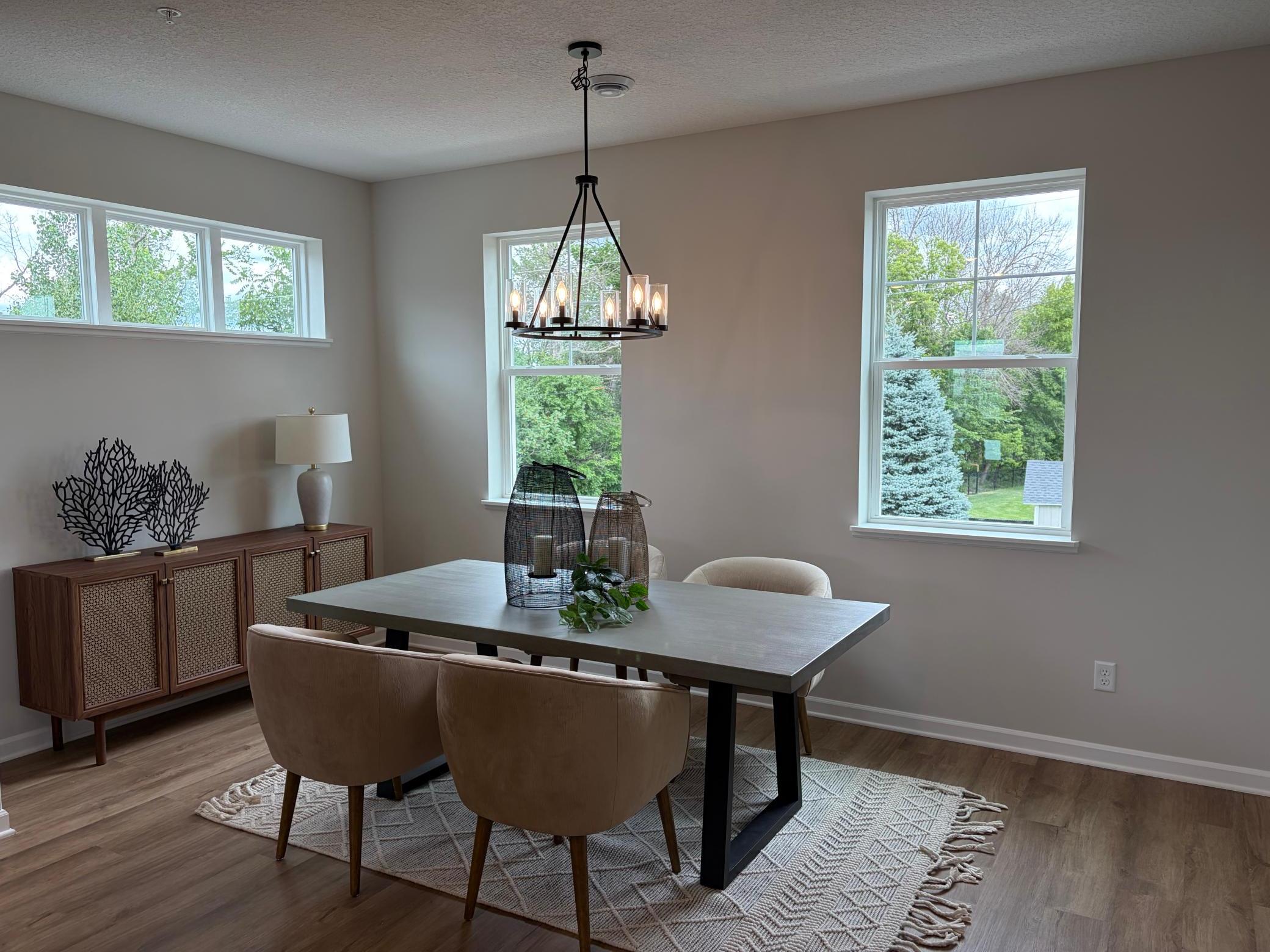 View of Residential at 13632 Willow Drive, Rogers MN 55374, Rogers (4 of 45) - Mike Wilen | Minnesota Team Real Estate