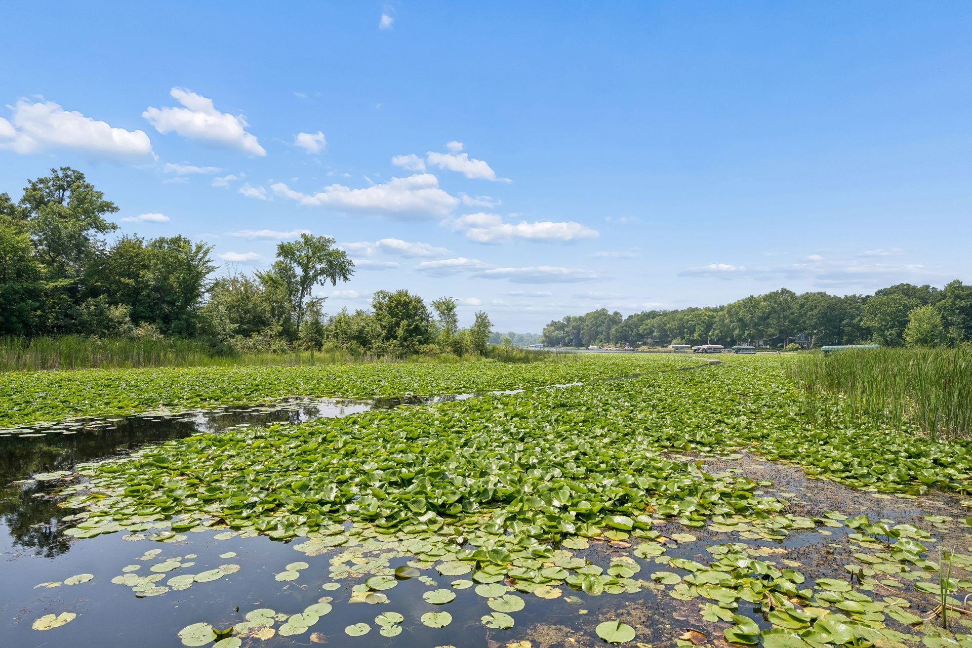 View of Residential at 10205 Aetna Avenue, Monticello MN 55362, Monticello (53 of 57) - Mike Wilen | Minnesota Team Real Estate