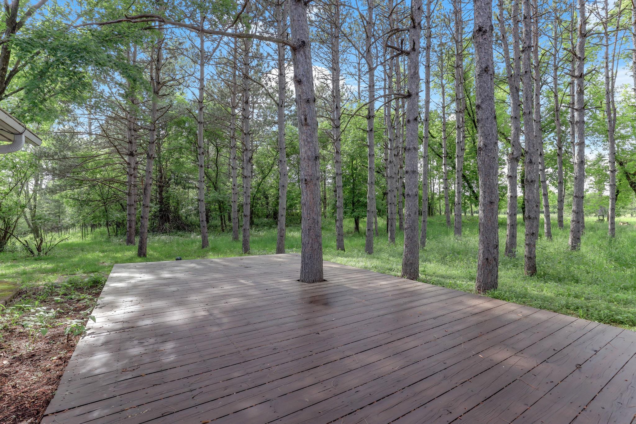 View of Residential at 10940 105th Street, Grant MN 55082, Grant (79 of 98) - Mike Wilen | Minnesota Team Real Estate