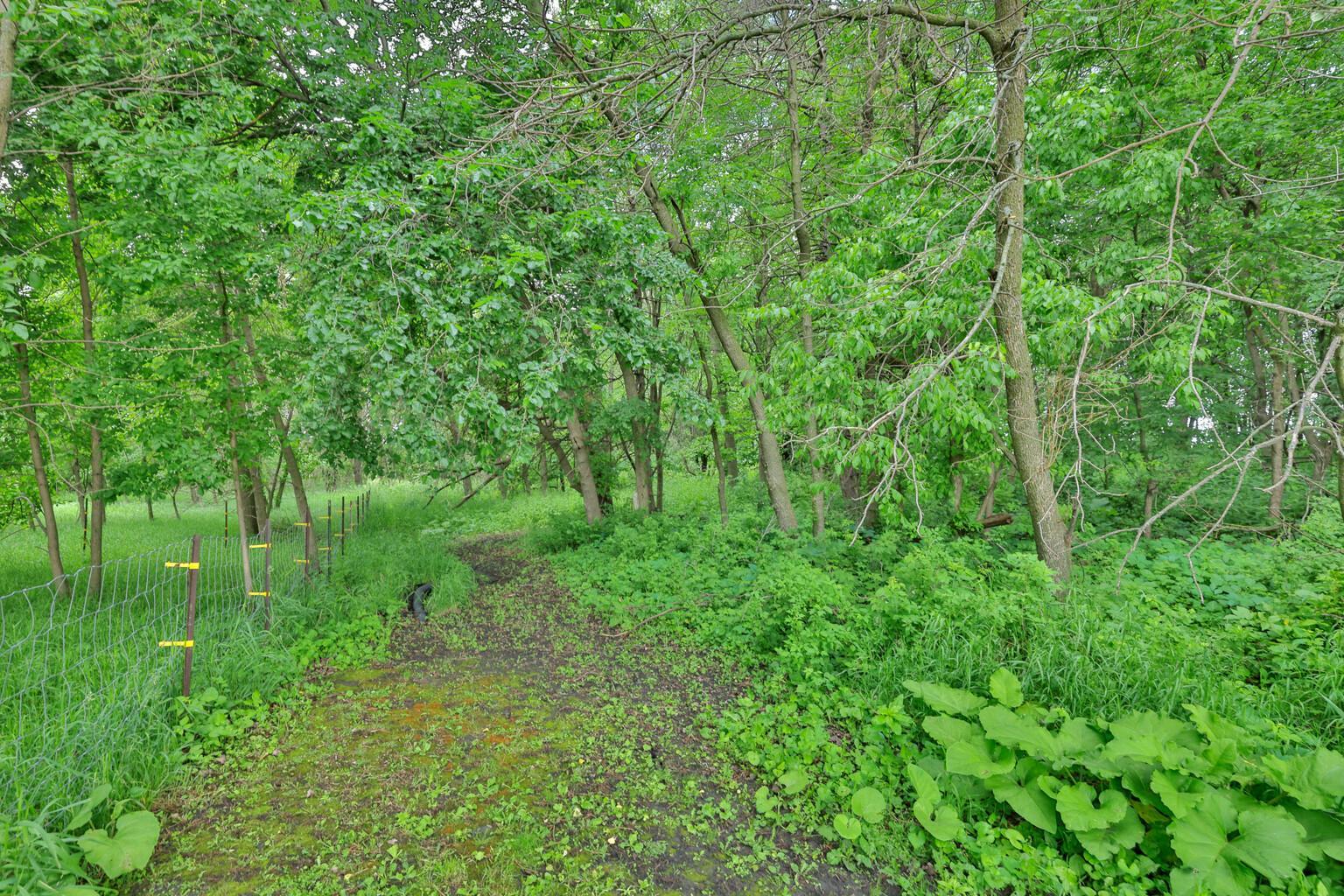 View of Residential at 16780 County Road 34, Norwood Young America MN 55368, Norwood Young America (10 of 43) - Mike Wilen | Minnesota Team Real Estate