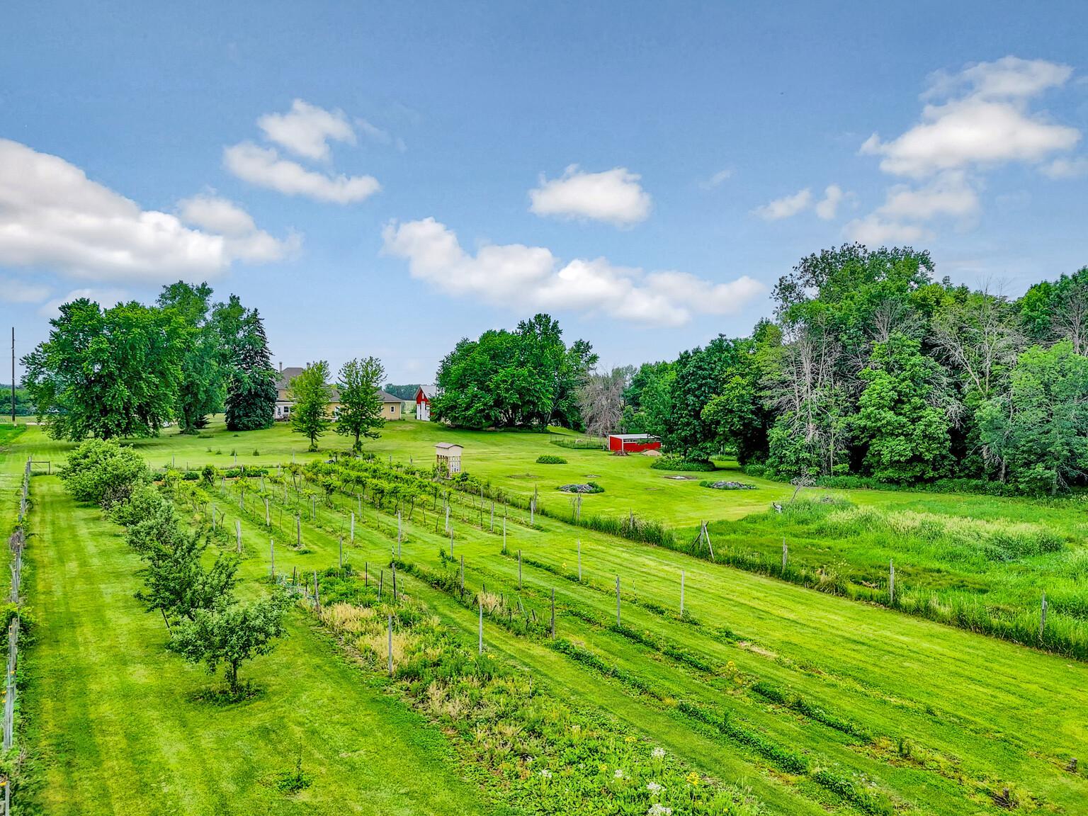 View of Residential at 16780 County Road 34, Norwood Young America MN 55368, Norwood Young America (6 of 43) - Mike Wilen | Minnesota Team Real Estate