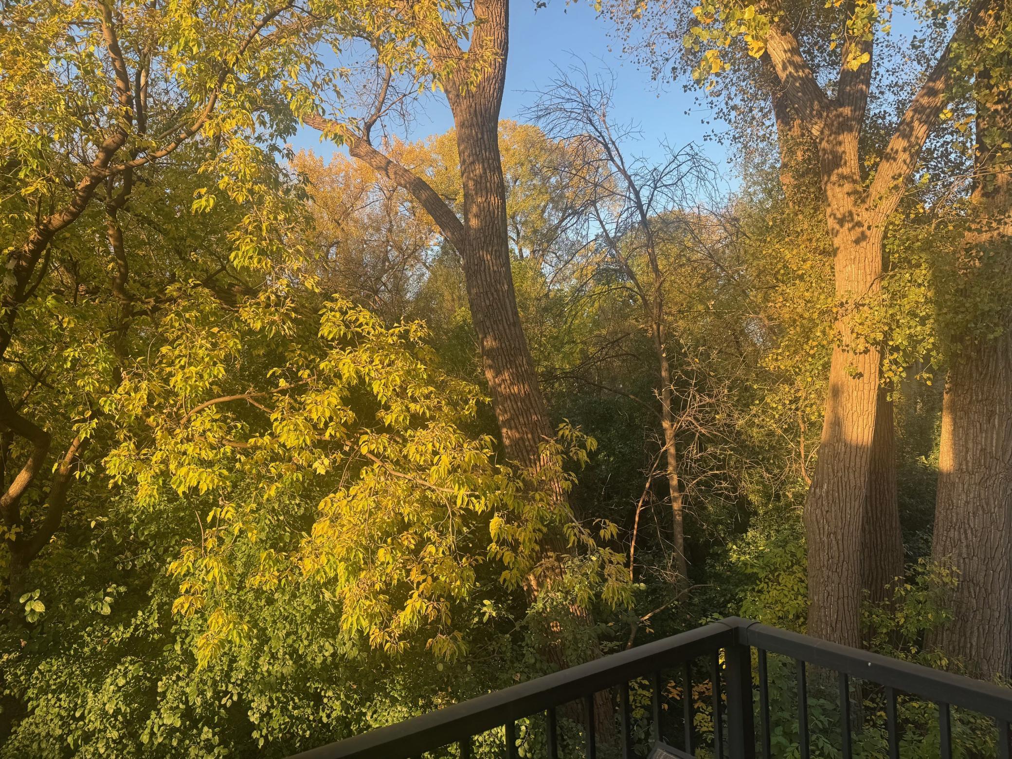View of Residential at 3447 Saint Louis Avenue, Minneapolis MN 55416, Minneapolis (56 of 56) - Mike Wilen | Minnesota Team Real Estate