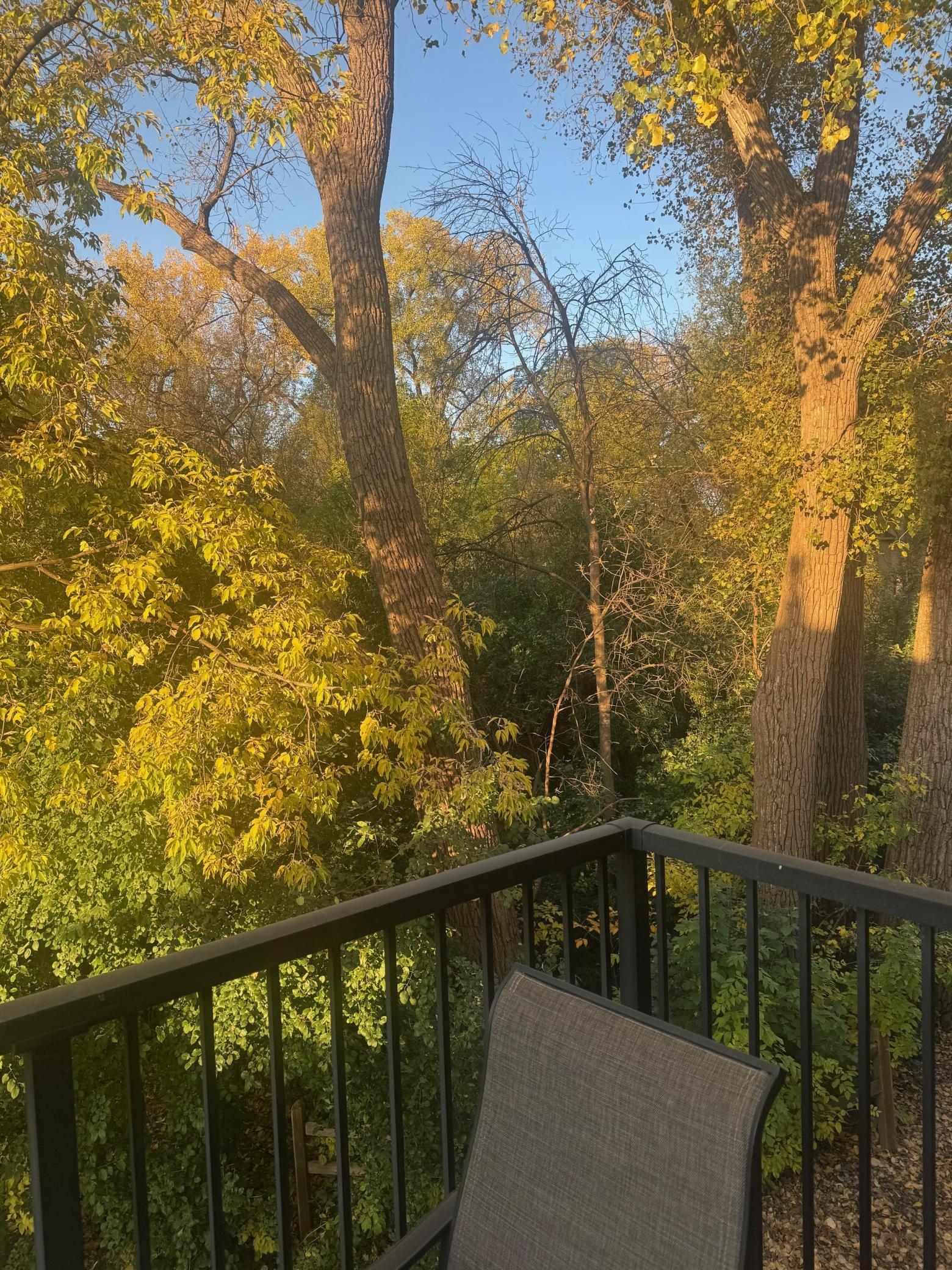 View of Residential at 3447 Saint Louis Avenue, Minneapolis MN 55416, Minneapolis (55 of 56) - Mike Wilen | Minnesota Team Real Estate