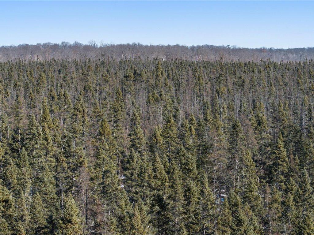View of Land at TBD 30th Ave, Isle MN 56342, Isle (7 of 23) - Mike Wilen | Minnesota Team Real Estate