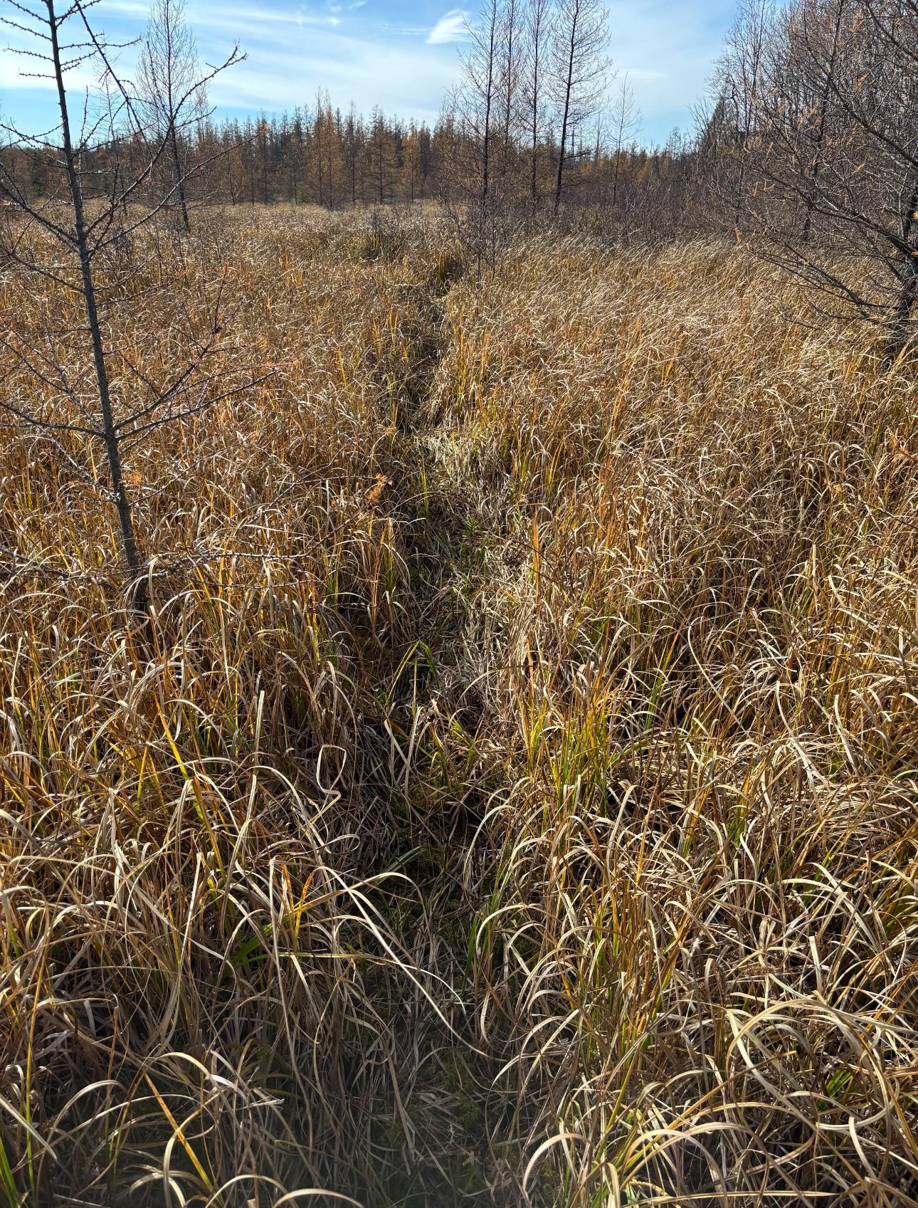 View of Land at TBD 30th Ave, Isle MN 56342, Isle (9 of 23) - Mike Wilen | Minnesota Team Real Estate