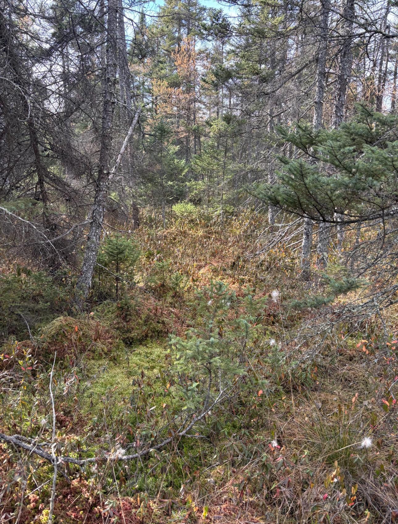 View of Land at TBD 30th Ave, Isle MN 56342, Isle (16 of 23) - Mike Wilen | Minnesota Team Real Estate