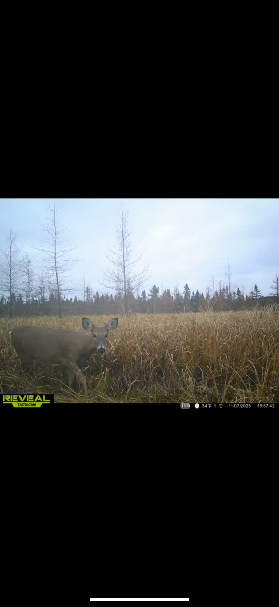 View of Land at TBD 30th Ave, Isle MN 56342, Isle (22 of 23) - Mike Wilen | Minnesota Team Real Estate