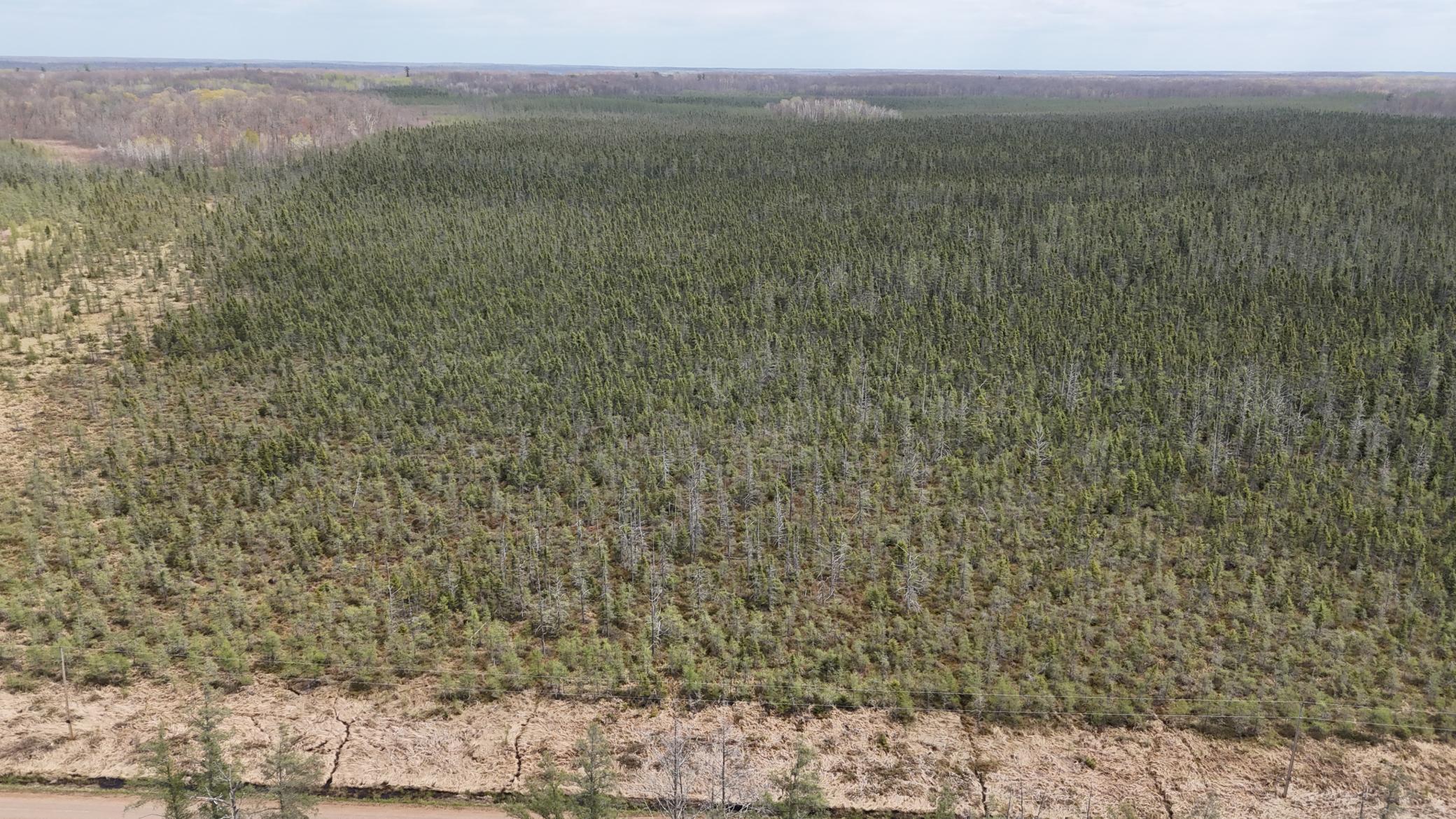 View of Land at TBD 30th Ave, Isle MN 56342, Isle (11 of 23) - Mike Wilen | Minnesota Team Real Estate