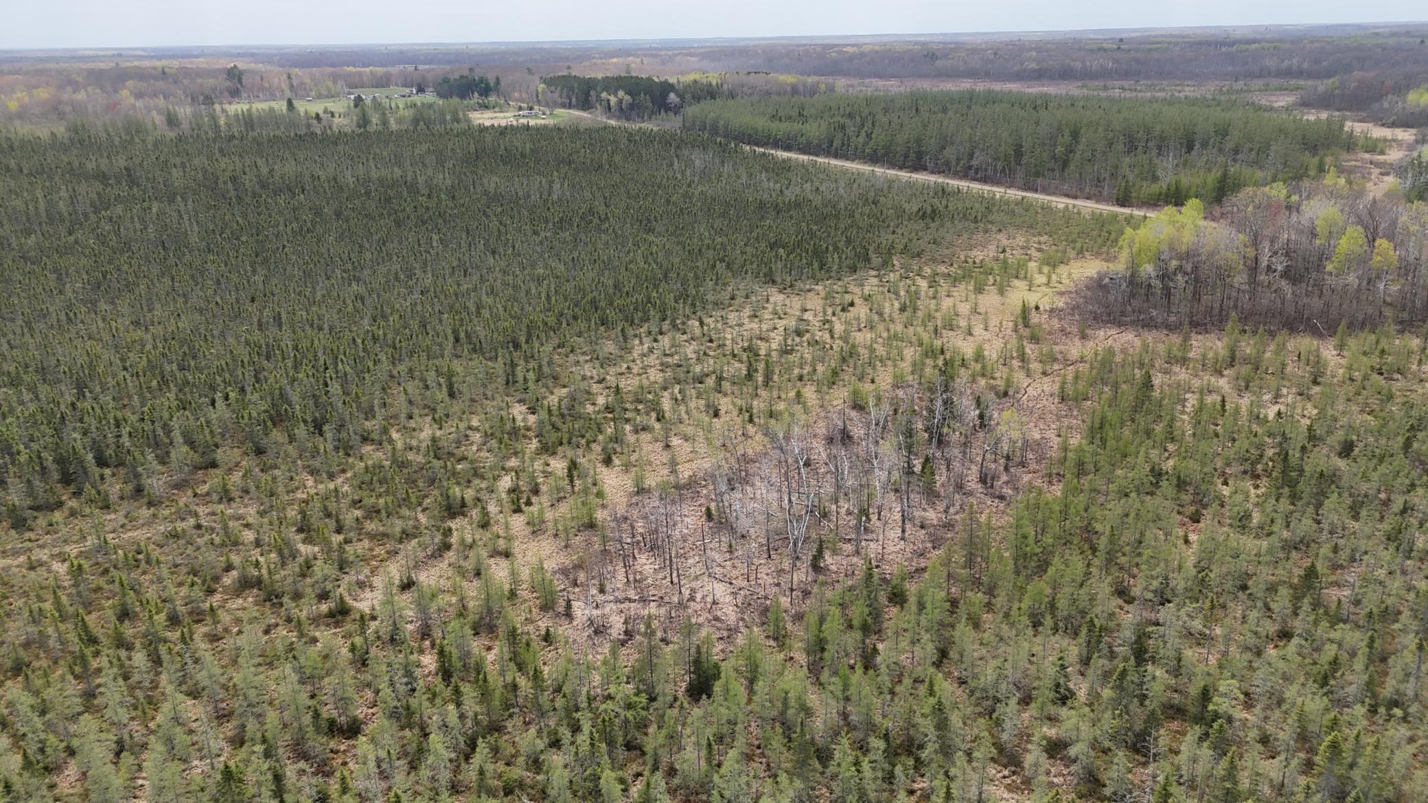 View of Land at TBD 30th Ave, Isle MN 56342, Isle (15 of 23) - Mike Wilen | Minnesota Team Real Estate