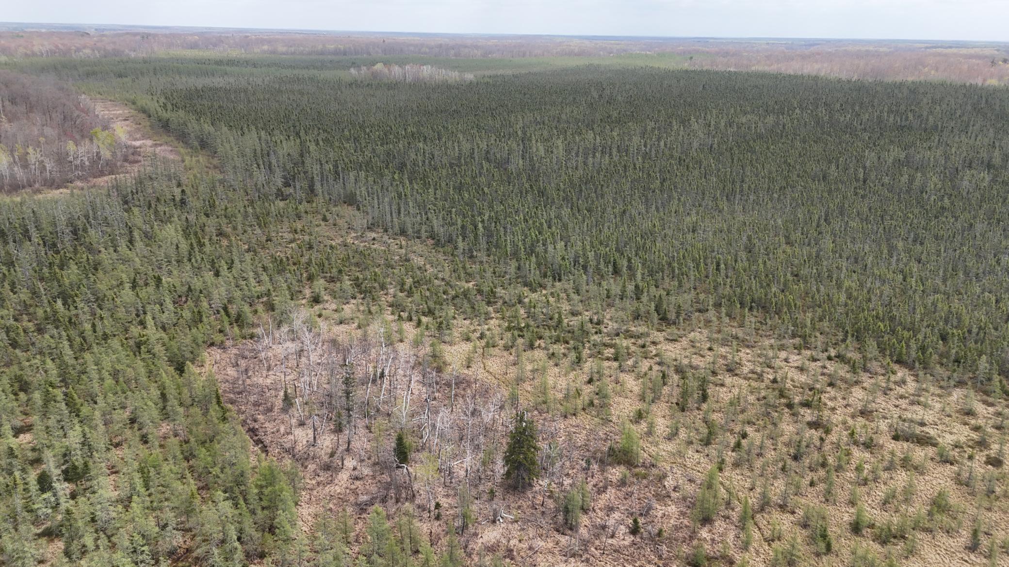 View of Land at TBD 30th Ave, Isle MN 56342, Isle (18 of 23) - Mike Wilen | Minnesota Team Real Estate