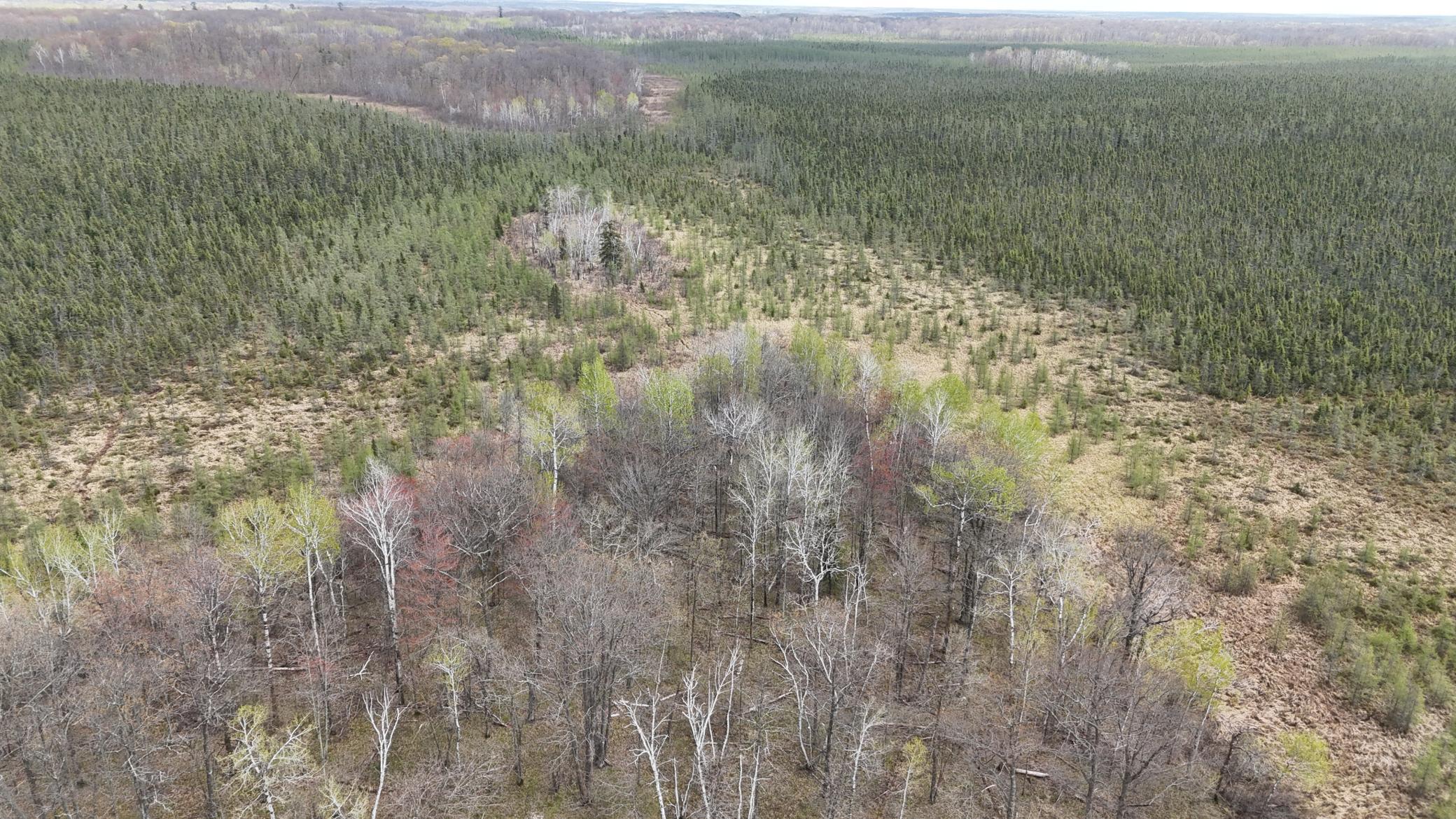 View of Land at TBD 30th Ave, Isle MN 56342, Isle (20 of 23) - Mike Wilen | Minnesota Team Real Estate