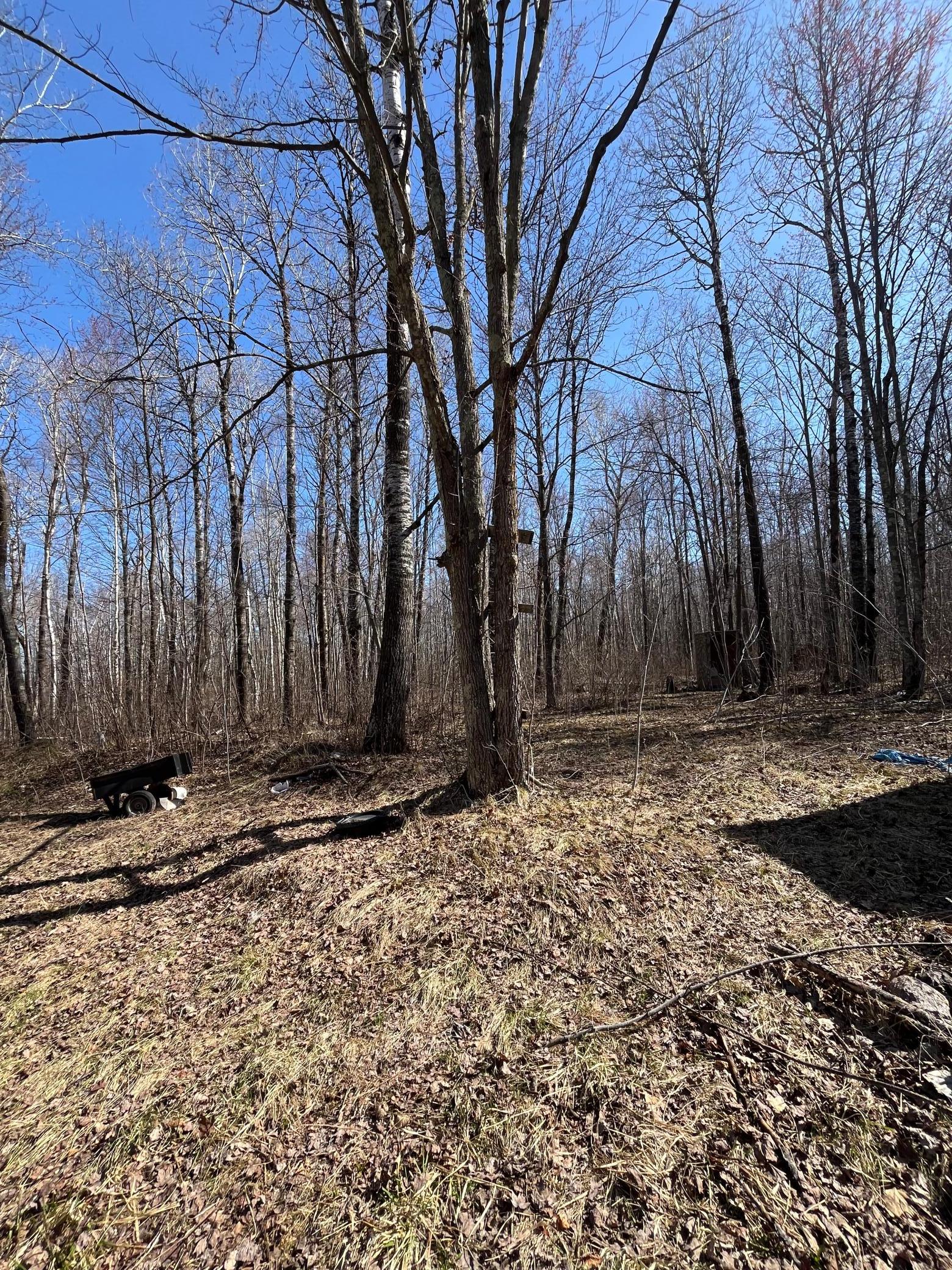 View of Land at 1 TBD, Hinckley Twp MN 55037, Hinckley Twp (2 of 8) - Mike Wilen | Minnesota Team Real Estate