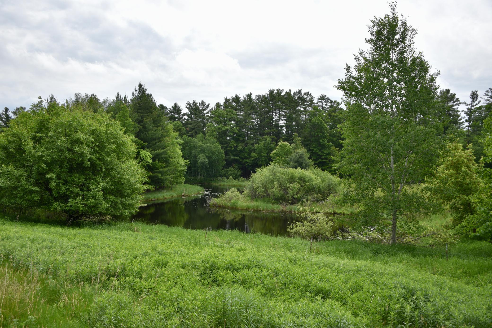 View of Residential at 20692 Keystone Road, Milaca MN 56353, Milaca (72 of 105) - Mike Wilen | Minnesota Team Real Estate