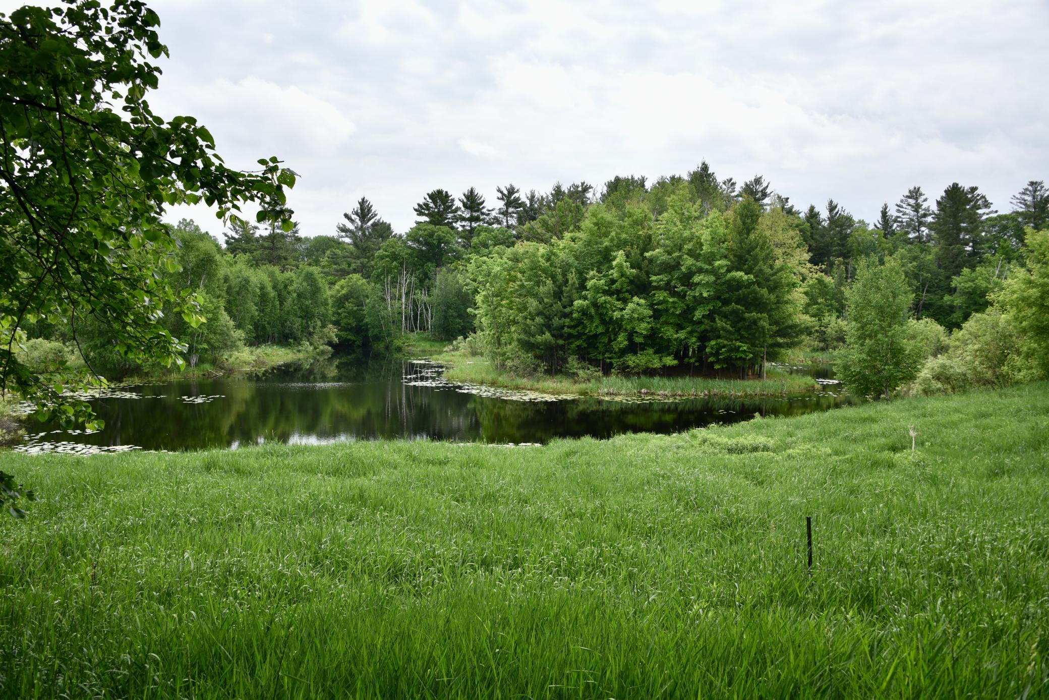 View of Residential at 20692 Keystone Road, Milaca MN 56353, Milaca (53 of 105) - Mike Wilen | Minnesota Team Real Estate