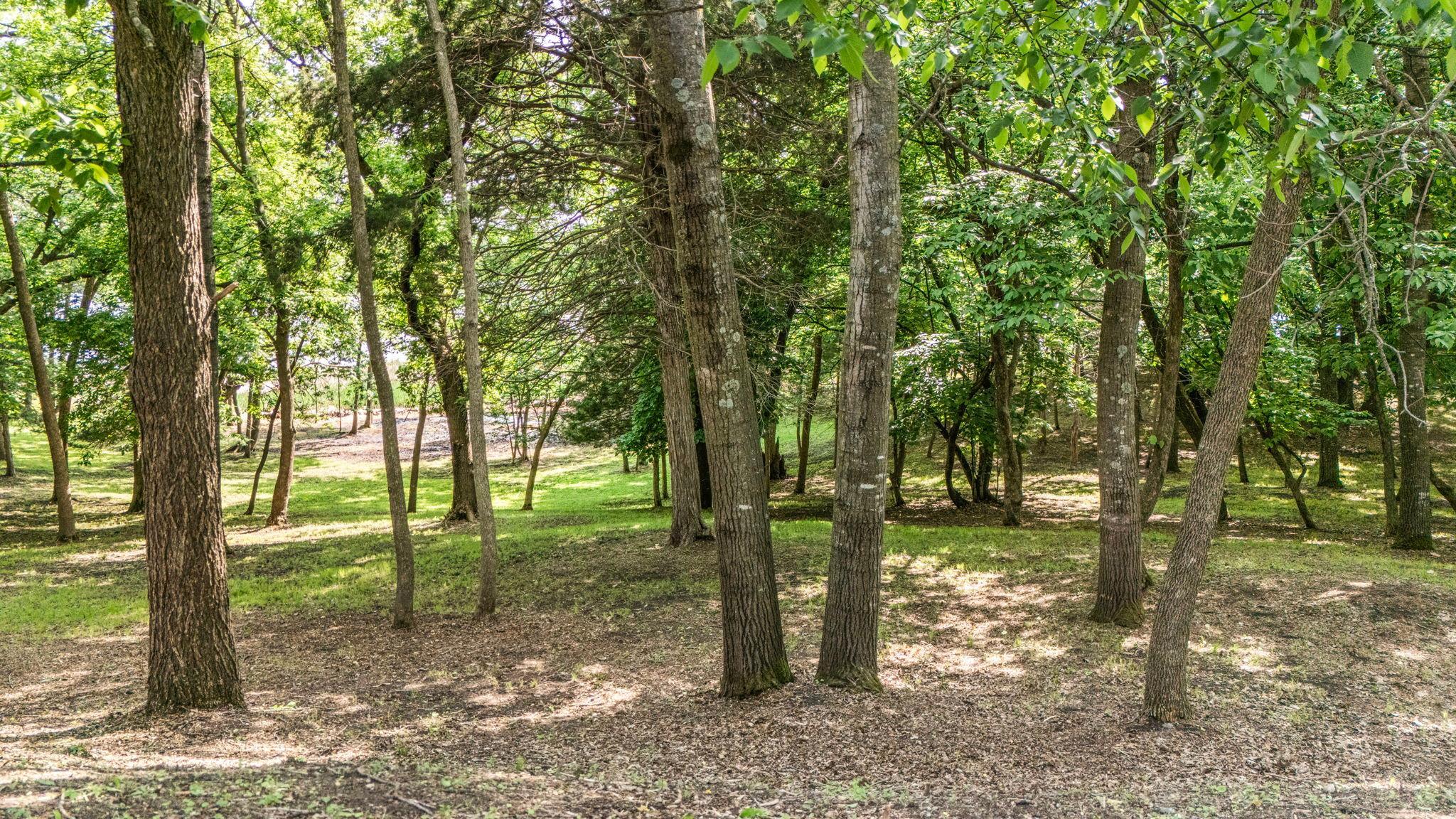 View of Land at TBD Edgeton Court, Richmond MN 56368, Richmond (3 of 13) - Mike Wilen | Minnesota Team Real Estate