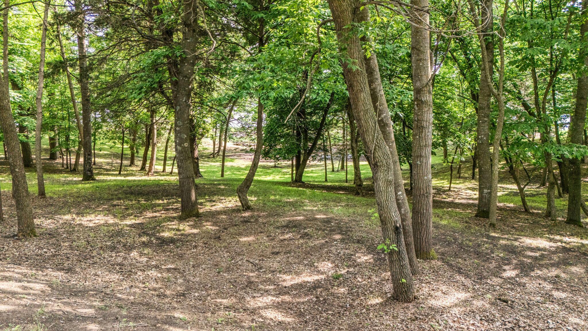 View of Land at TBD Edgeton Court, Richmond MN 56368, Richmond (2 of 13) - Mike Wilen | Minnesota Team Real Estate