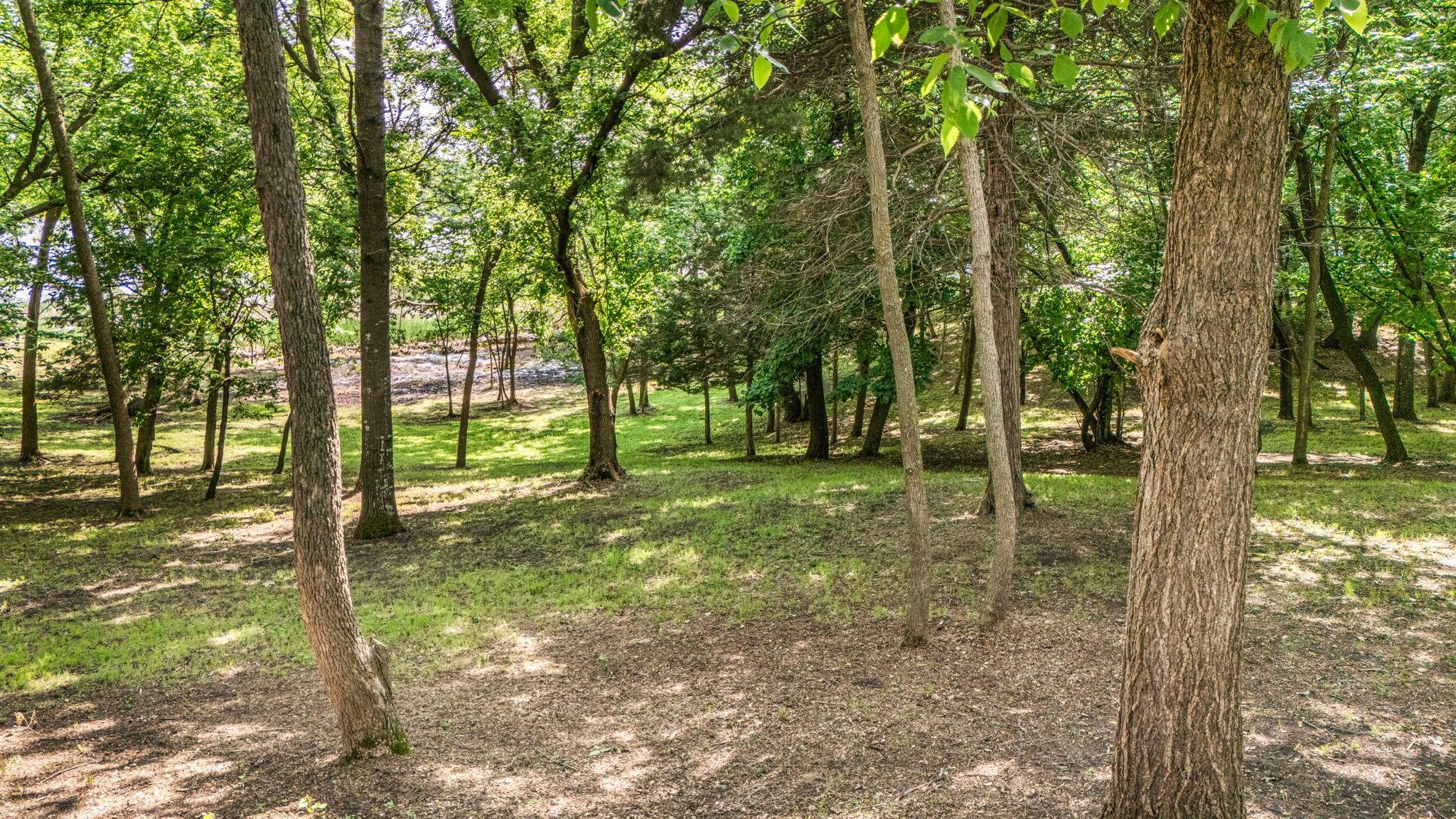 View of Land at TBD Edgeton Court, Richmond MN 56368, Richmond (4 of 13) - Mike Wilen | Minnesota Team Real Estate