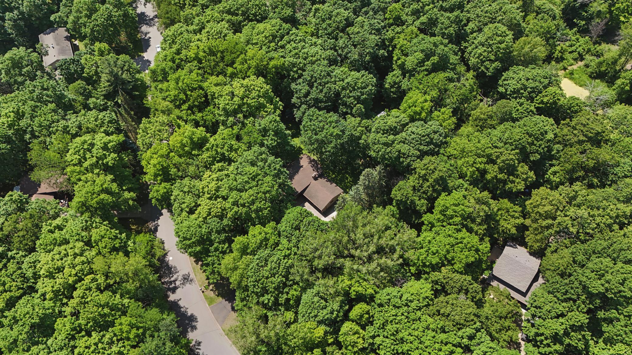View of Residential at 4697 McAllister Avenue, Saint Michael MN 55376, Saint Michael (31 of 33) - Mike Wilen | Minnesota Team Real Estate