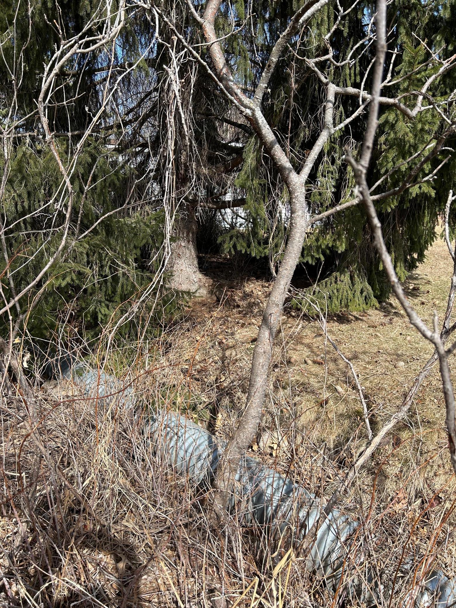 View of Land at 187XX Harbor Drive, Garrison MN 56450, Garrison (8 of 21) - Mike Wilen | Minnesota Team Real Estate