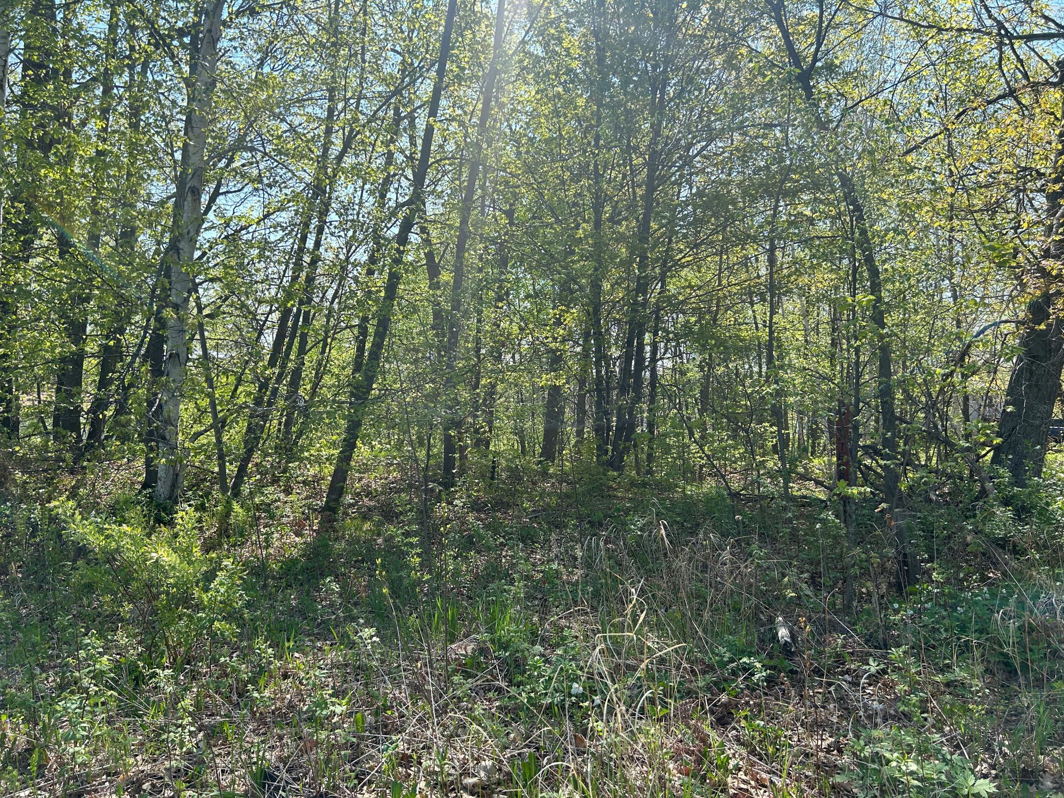 View of Land at 187XX Harbor Drive, Garrison MN 56450, Garrison (11 of 21) - Mike Wilen | Minnesota Team Real Estate