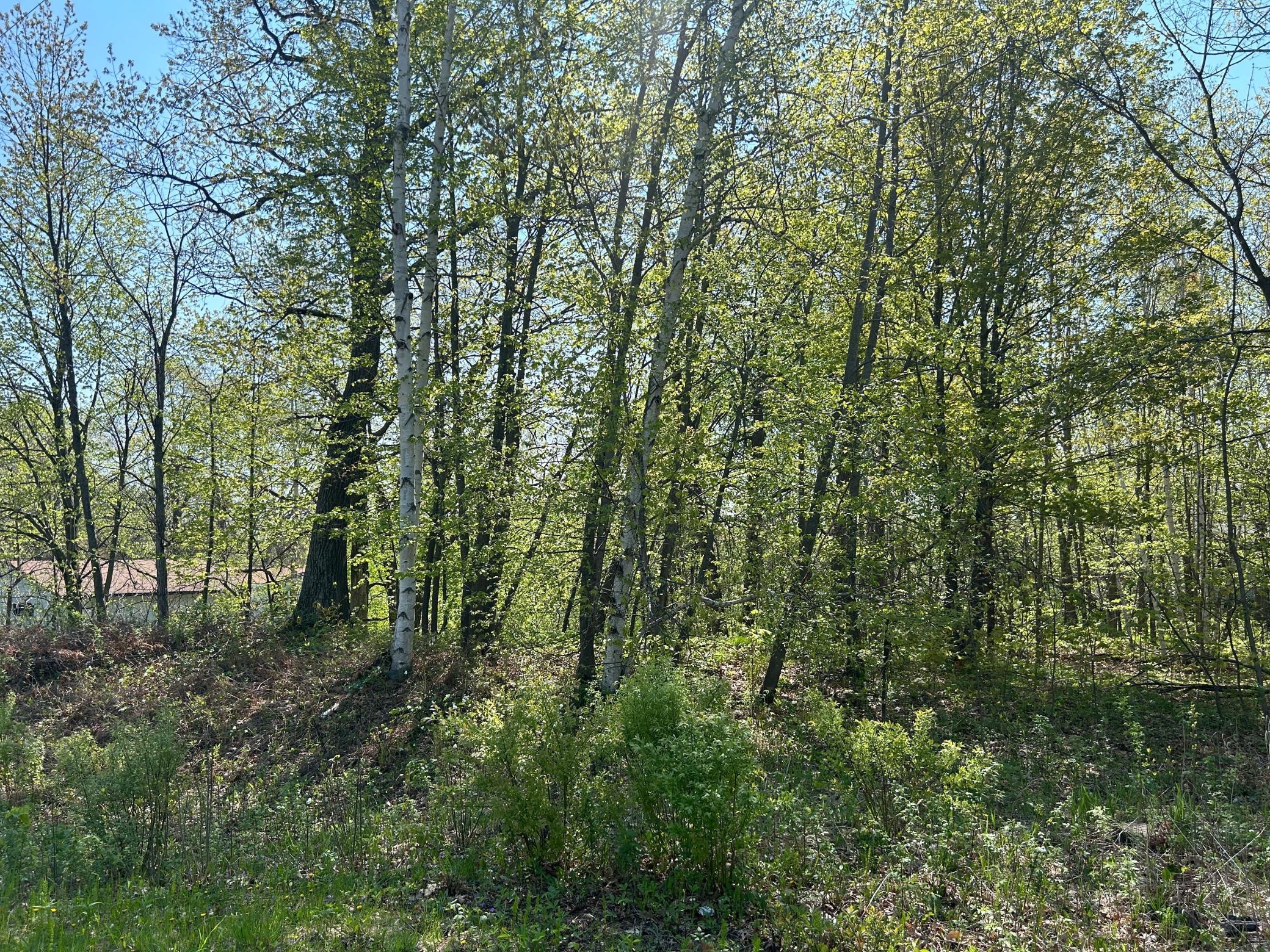 View of Land at 187XX Harbor Drive, Garrison MN 56450, Garrison (13 of 21) - Mike Wilen | Minnesota Team Real Estate