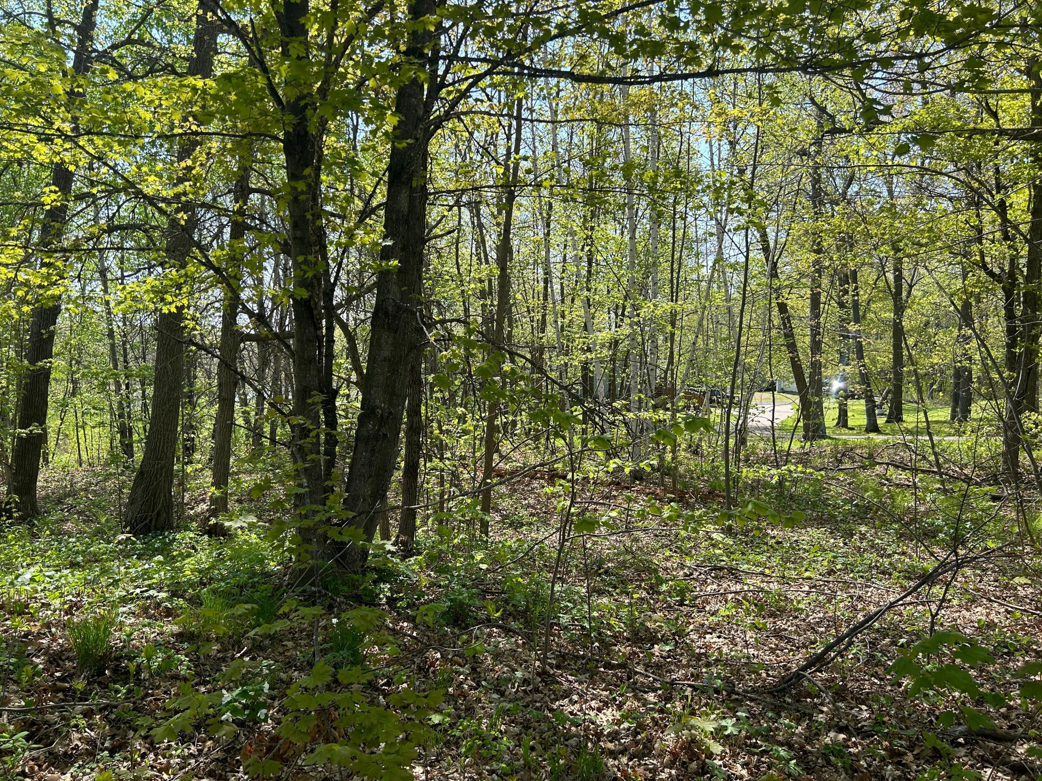 View of Land at 187XX Harbor Drive, Garrison MN 56450, Garrison (15 of 21) - Mike Wilen | Minnesota Team Real Estate