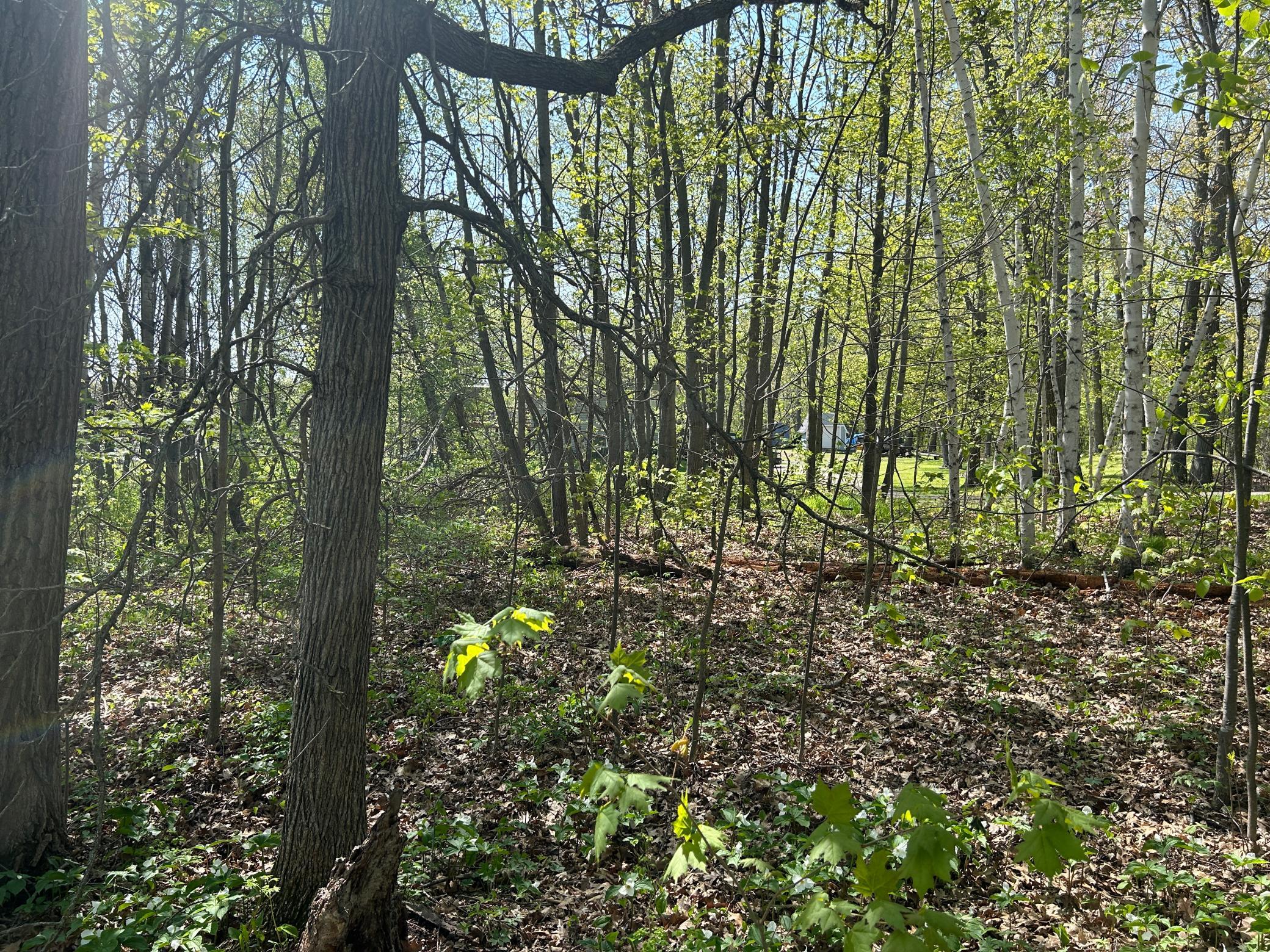 View of Land at 187XX Harbor Drive, Garrison MN 56450, Garrison (16 of 21) - Mike Wilen | Minnesota Team Real Estate