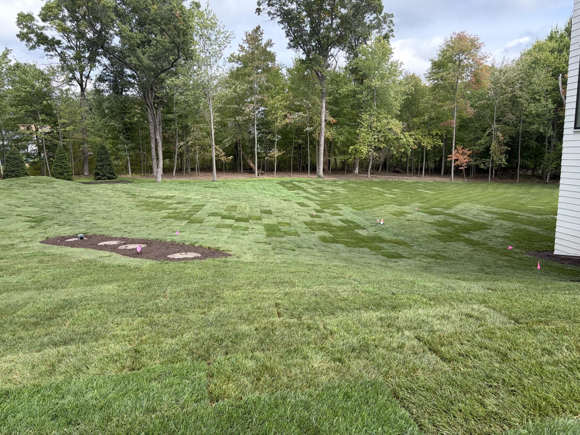 View of Residential at 4731 140th Lane, Ham Lake MN 55005, Ham Lake (74 of 74) - Mike Wilen | Minnesota Team Real Estate