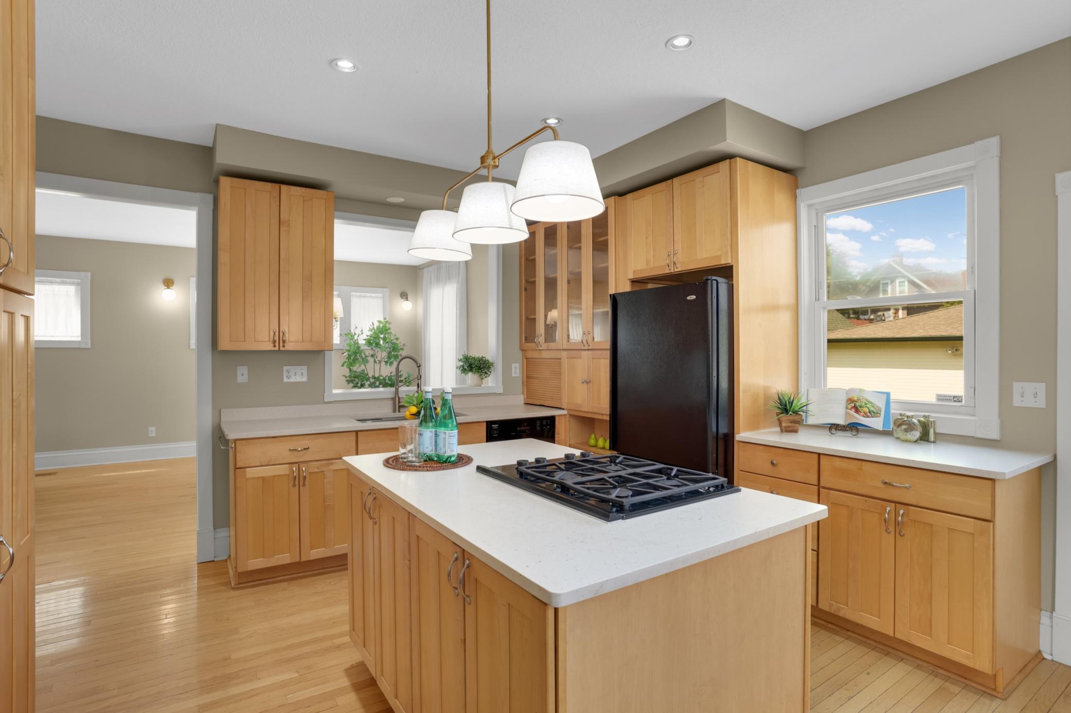 View of Residential at 1117 Portland Avenue, Saint Paul MN 55104, Saint Paul (9 of 35) - Mike Wilen | Minnesota Team Real Estate