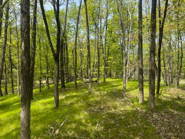 View of Land at TBD Maple View Court, Excelsior MN 55331, Excelsior (3 of 5) - Mike Wilen | Minnesota Team Real Estate