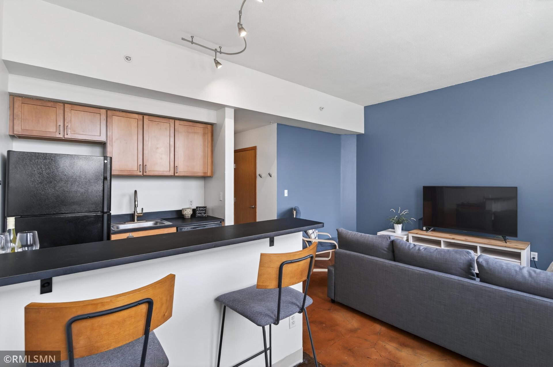View of Residential at 488 Wabasha Street #506, Saint Paul MN 55102, Saint Paul (10 of 58) - Mike Wilen | Minnesota Team Real Estate