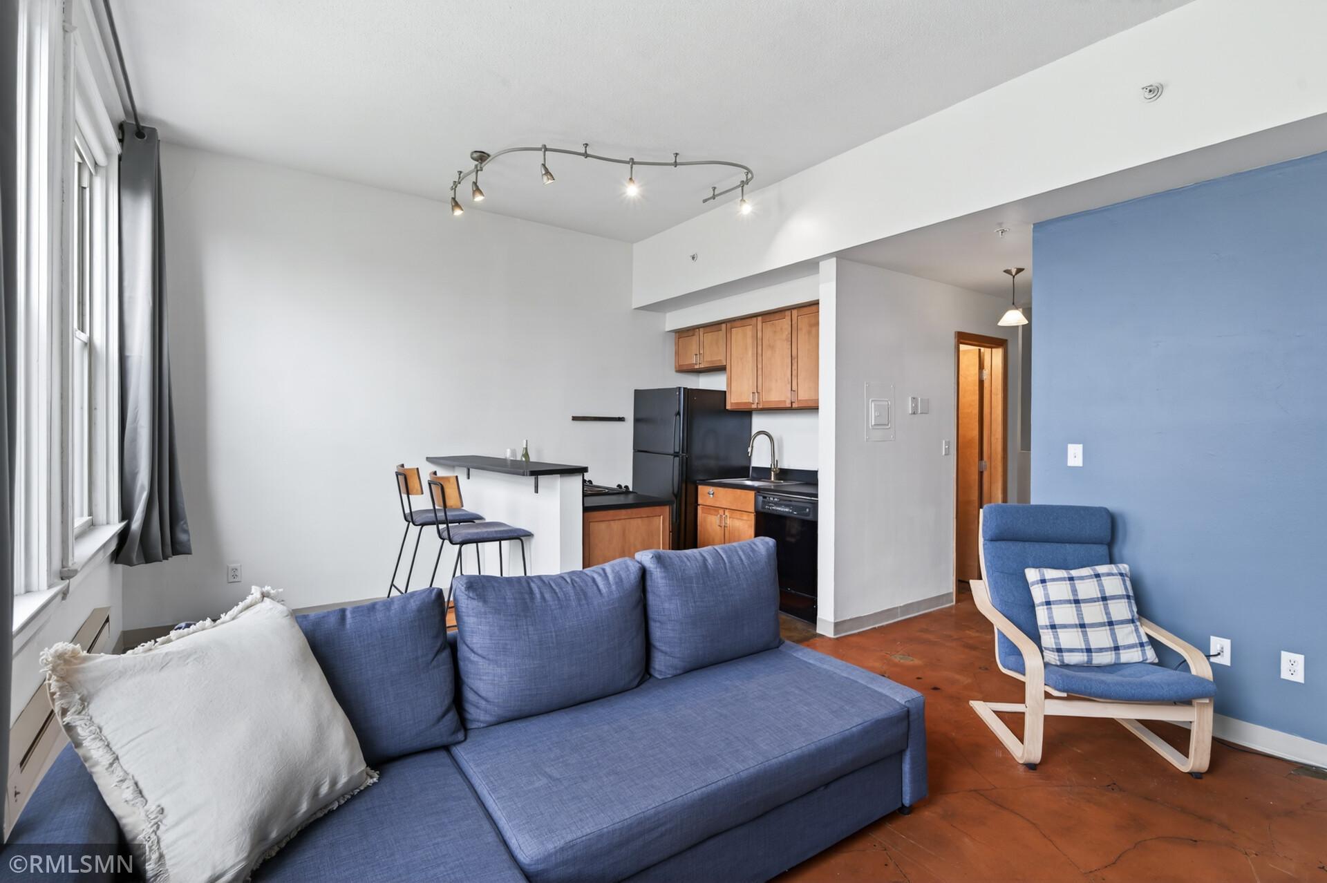 View of Residential at 488 Wabasha Street #506, Saint Paul MN 55102, Saint Paul (9 of 58) - Mike Wilen | Minnesota Team Real Estate