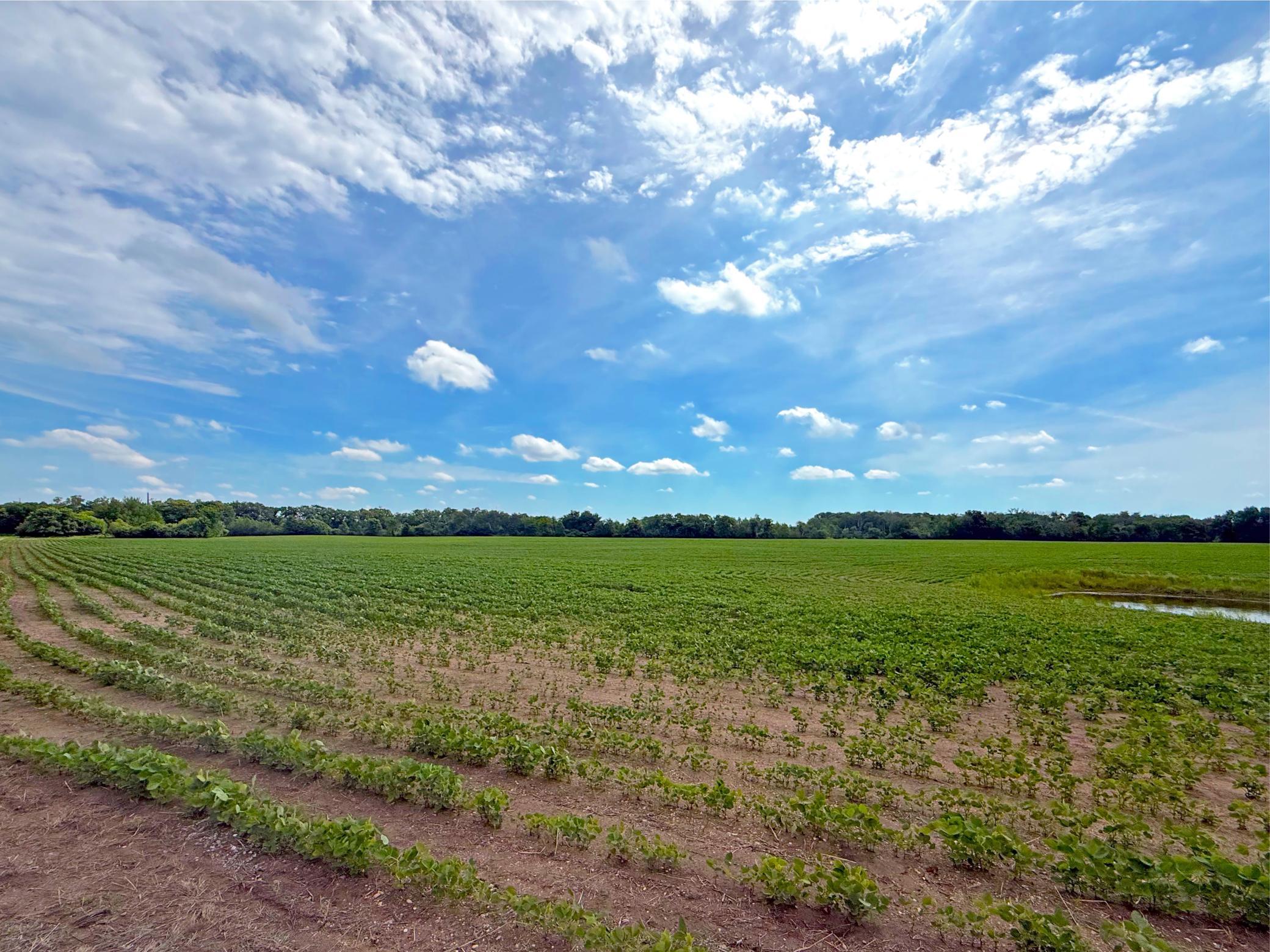 View of Residential at 1383 120th Street, Monticello MN 55362, Monticello (94 of 94) - Mike Wilen | Minnesota Team Real Estate