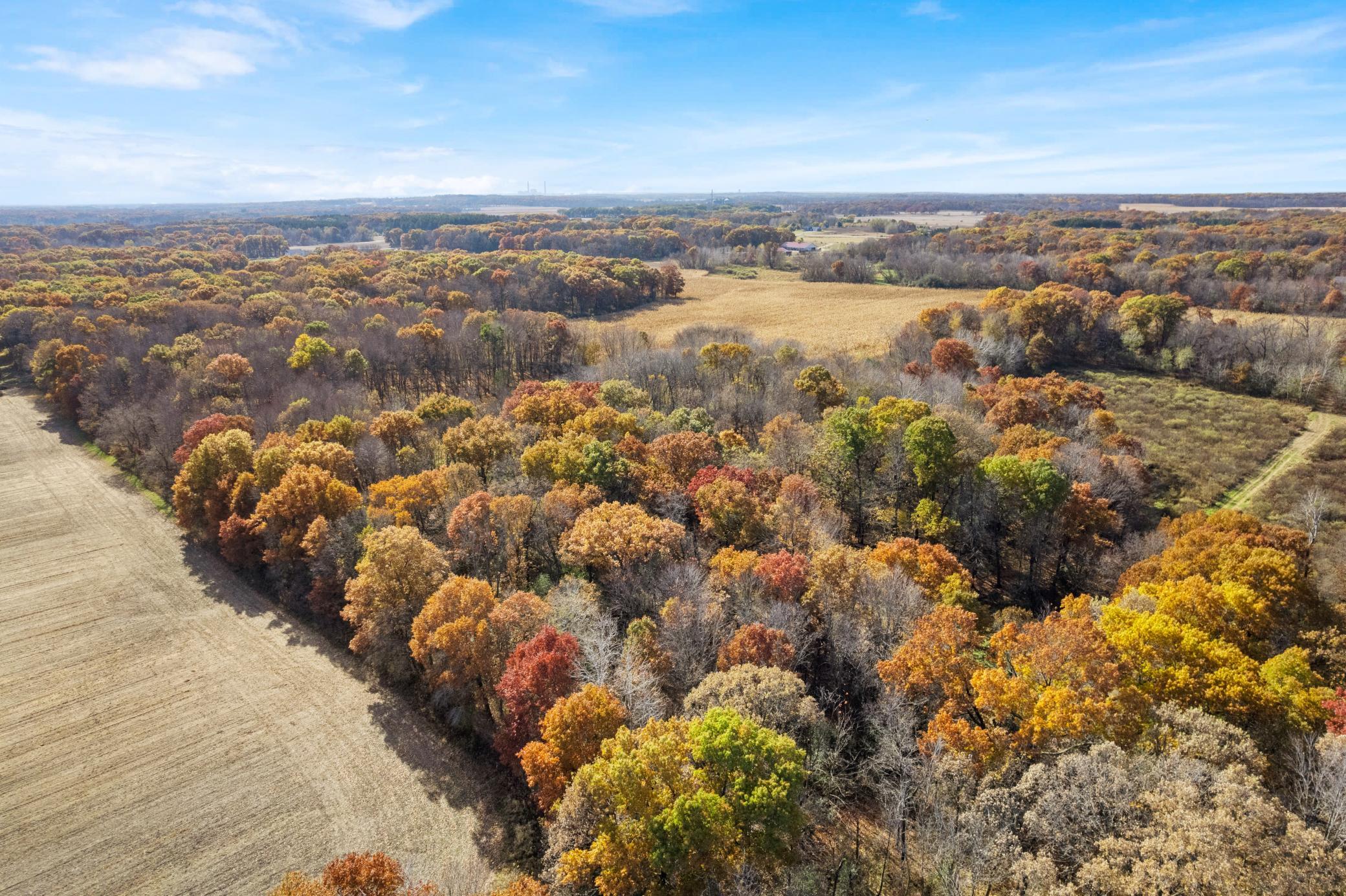 View of Land at 71xxx 165th Avenue, Becker Twp MN 55308, Becker Twp (3 of 18) - Mike Wilen | Minnesota Team Real Estate