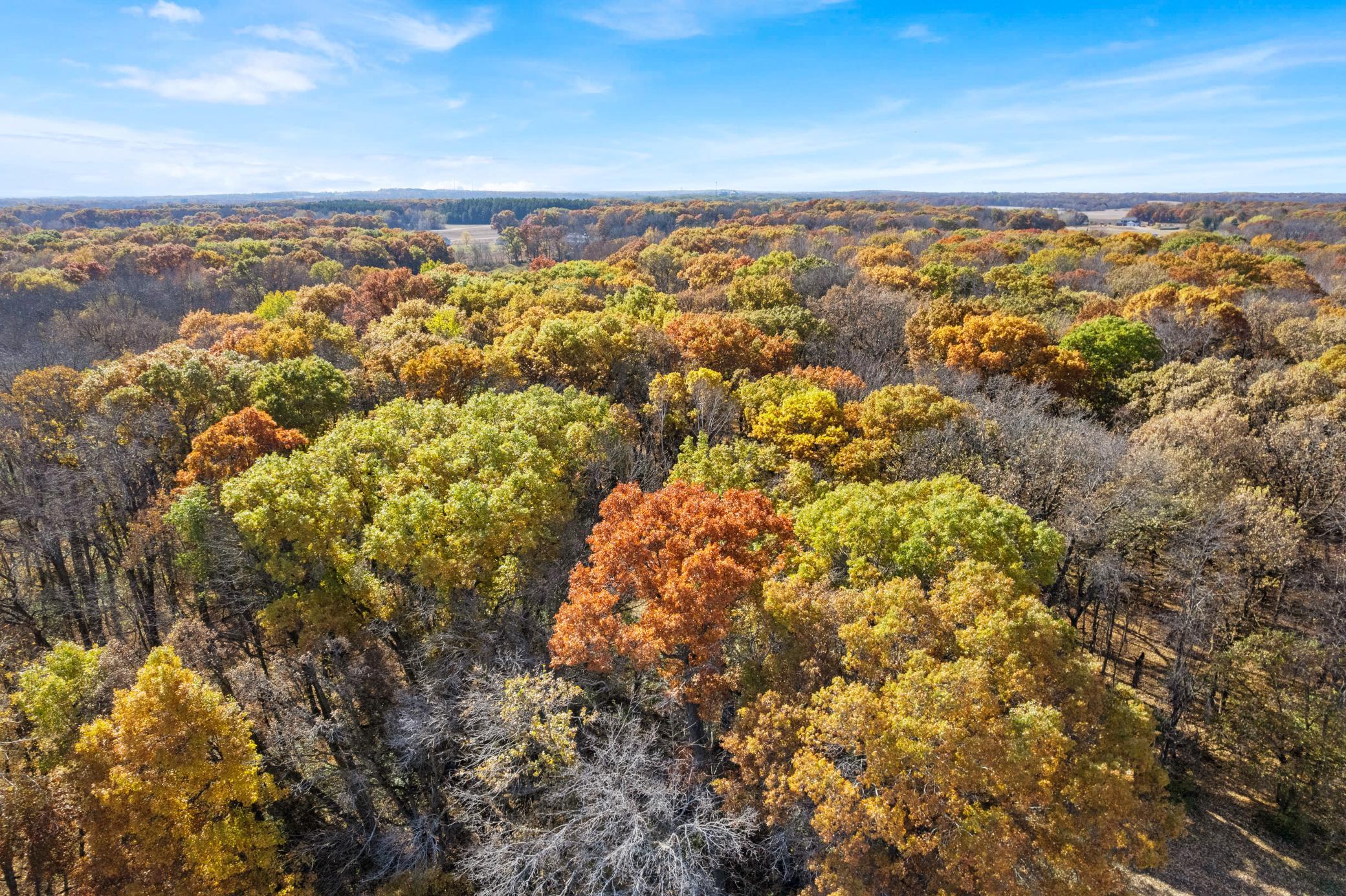 View of Land at 71xxx 165th Avenue, Becker Twp MN 55308, Becker Twp (14 of 18) - Mike Wilen | Minnesota Team Real Estate