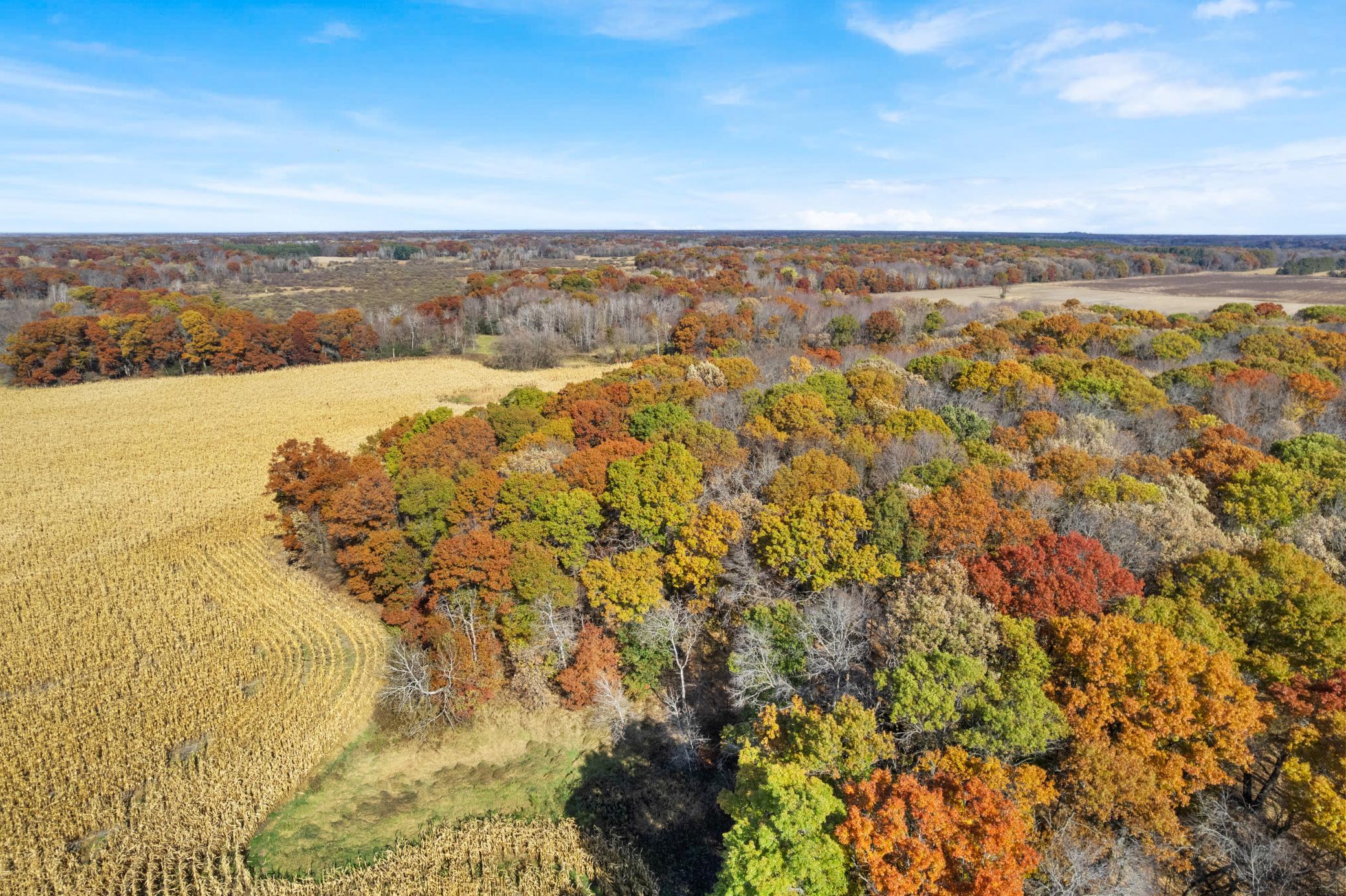 View of Land at 71xxx 165th Avenue, Becker Twp MN 55308, Becker Twp (13 of 18) - Mike Wilen | Minnesota Team Real Estate