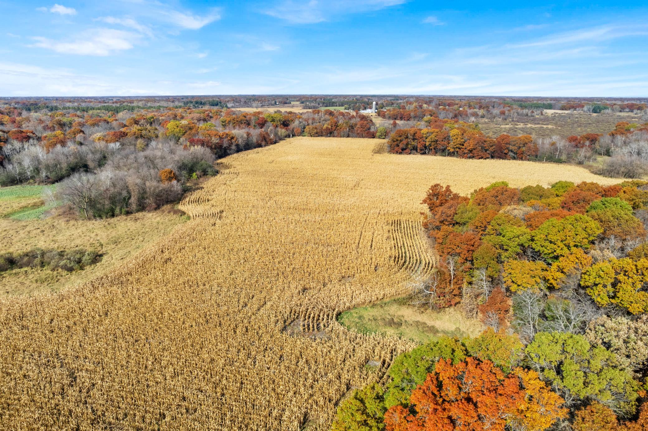 View of Land at 71xxx 165th Avenue, Becker Twp MN 55308, Becker Twp (12 of 18) - Mike Wilen | Minnesota Team Real Estate