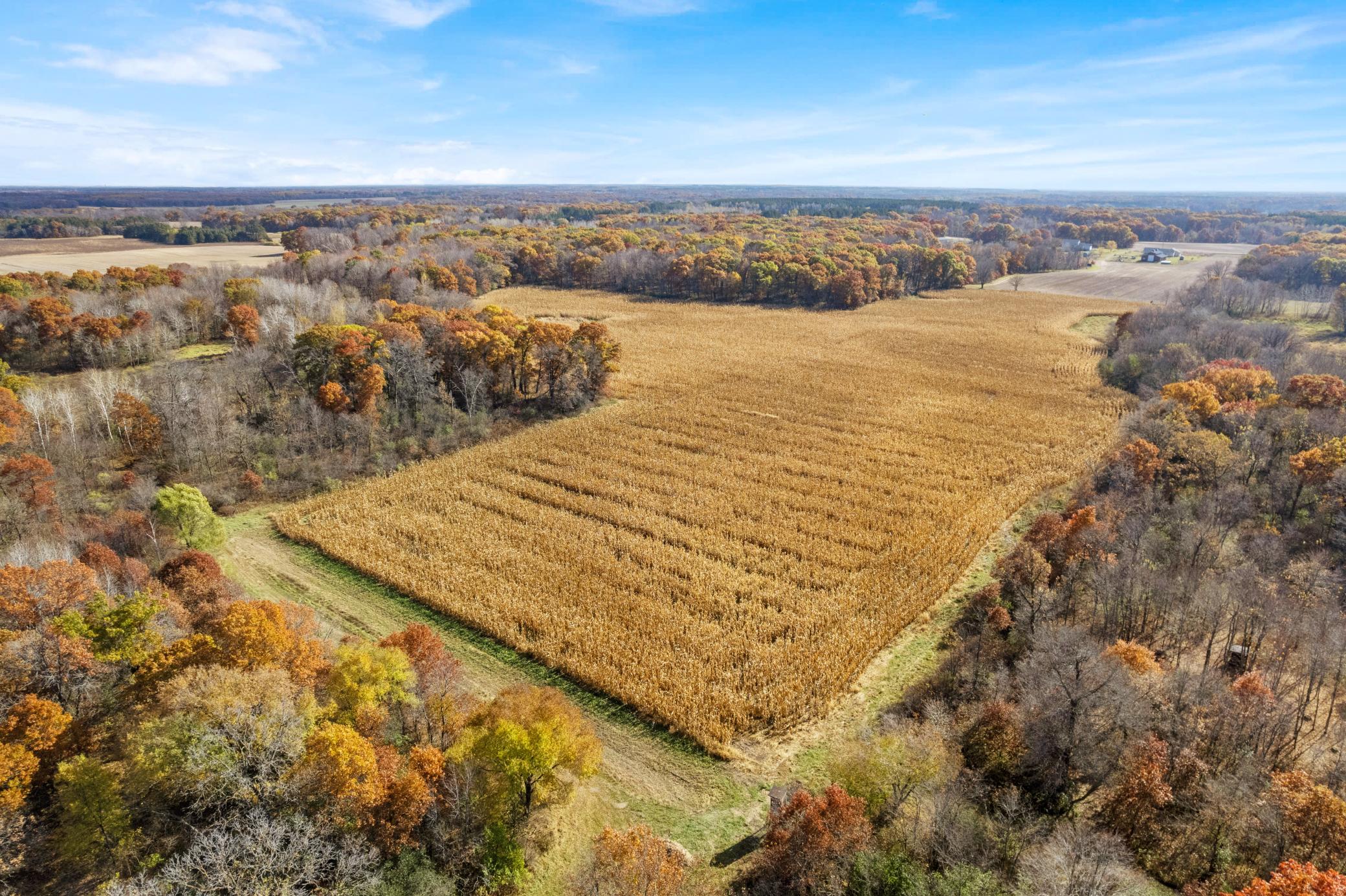 View of Land at 71xxx 165th Avenue, Becker Twp MN 55308, Becker Twp - Mike Wilen | Minnesota Team Real Estate