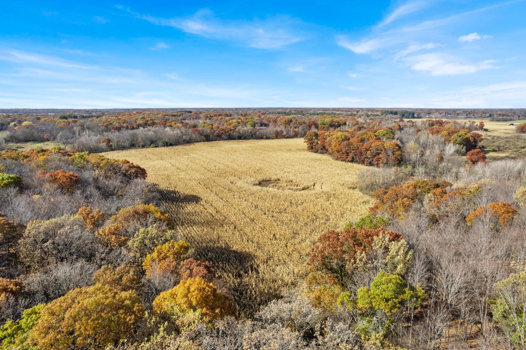 View of Land at 71xxx 165th Avenue, Becker Twp MN 55308, Becker Twp (9 of 18) - Mike Wilen | Minnesota Team Real Estate