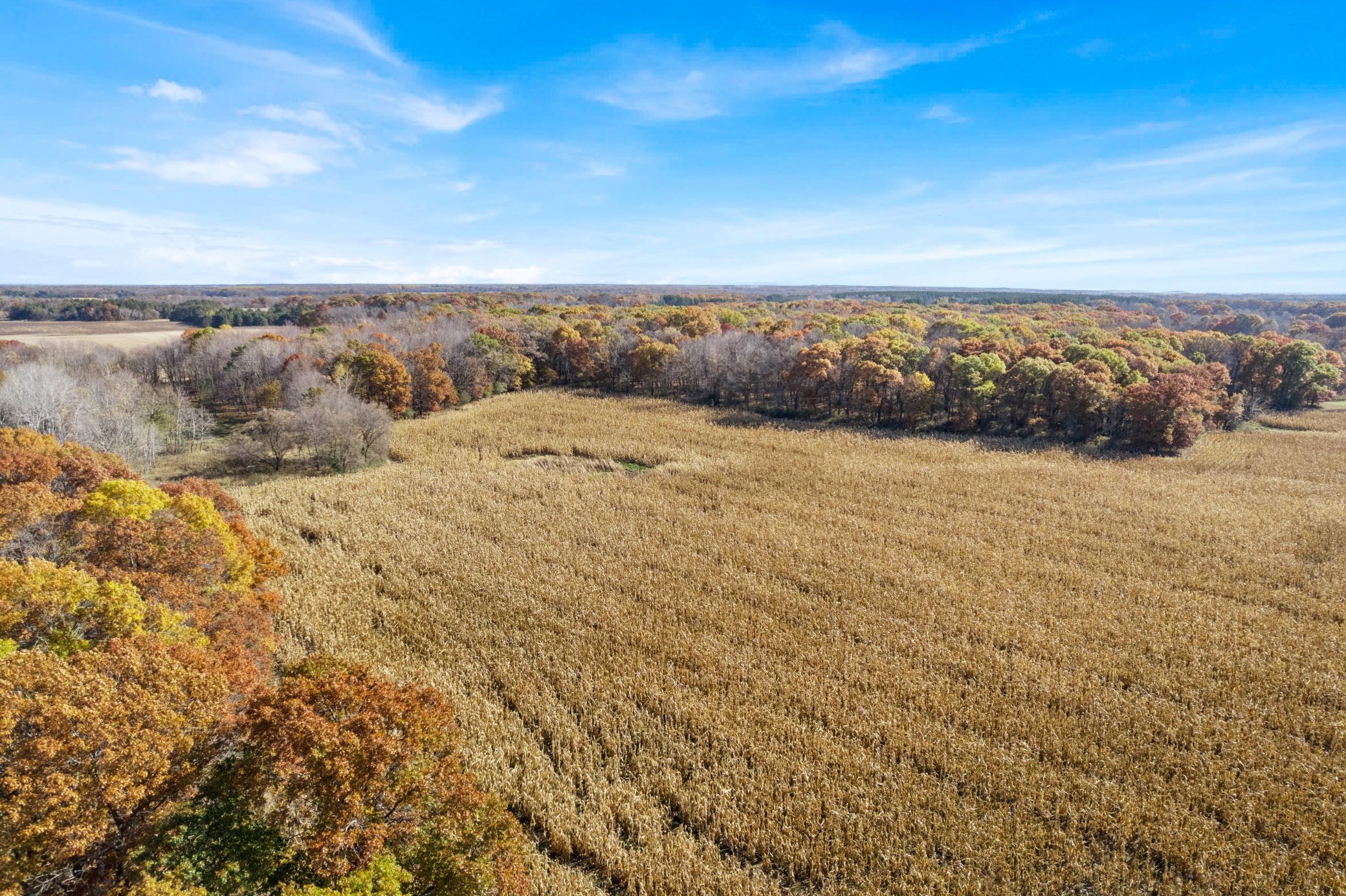 View of Land at 71xxx 165th Avenue, Becker Twp MN 55308, Becker Twp (7 of 18) - Mike Wilen | Minnesota Team Real Estate