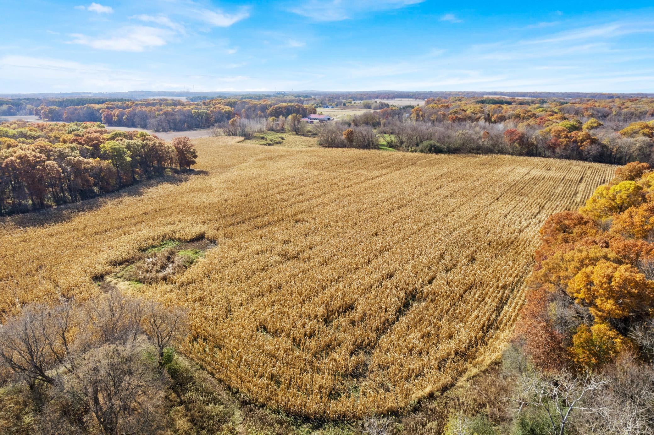 View of Land at 71xxx 165th Avenue, Becker Twp MN 55308, Becker Twp (6 of 18) - Mike Wilen | Minnesota Team Real Estate