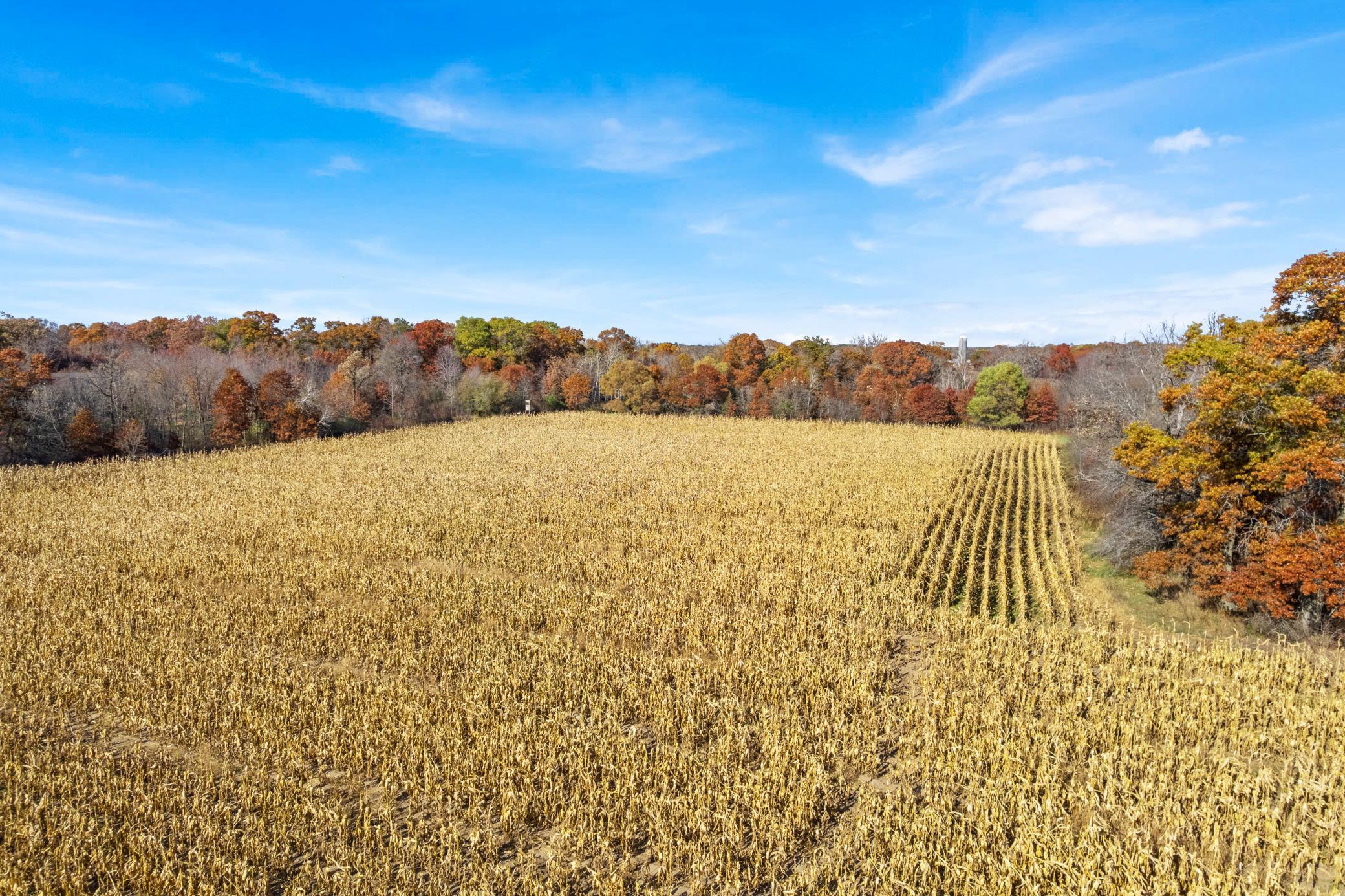 View of Land at 71xxx 165th Avenue, Becker Twp MN 55308, Becker Twp (5 of 18) - Mike Wilen | Minnesota Team Real Estate