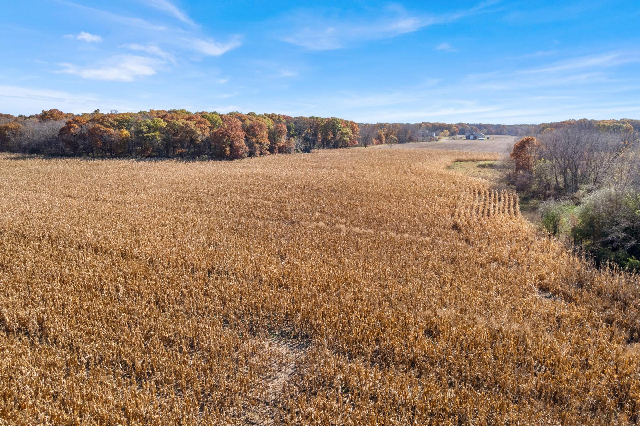 View of Land at 71xxx 165th Avenue, Becker Twp MN 55308, Becker Twp (2 of 18) - Mike Wilen | Minnesota Team Real Estate