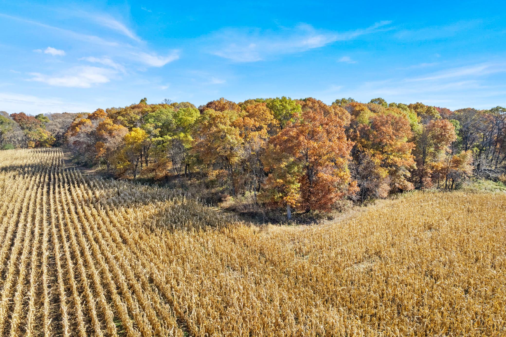 View of Land at 71xxx 165th Avenue, Becker Twp MN 55308, Becker Twp (16 of 18) - Mike Wilen | Minnesota Team Real Estate