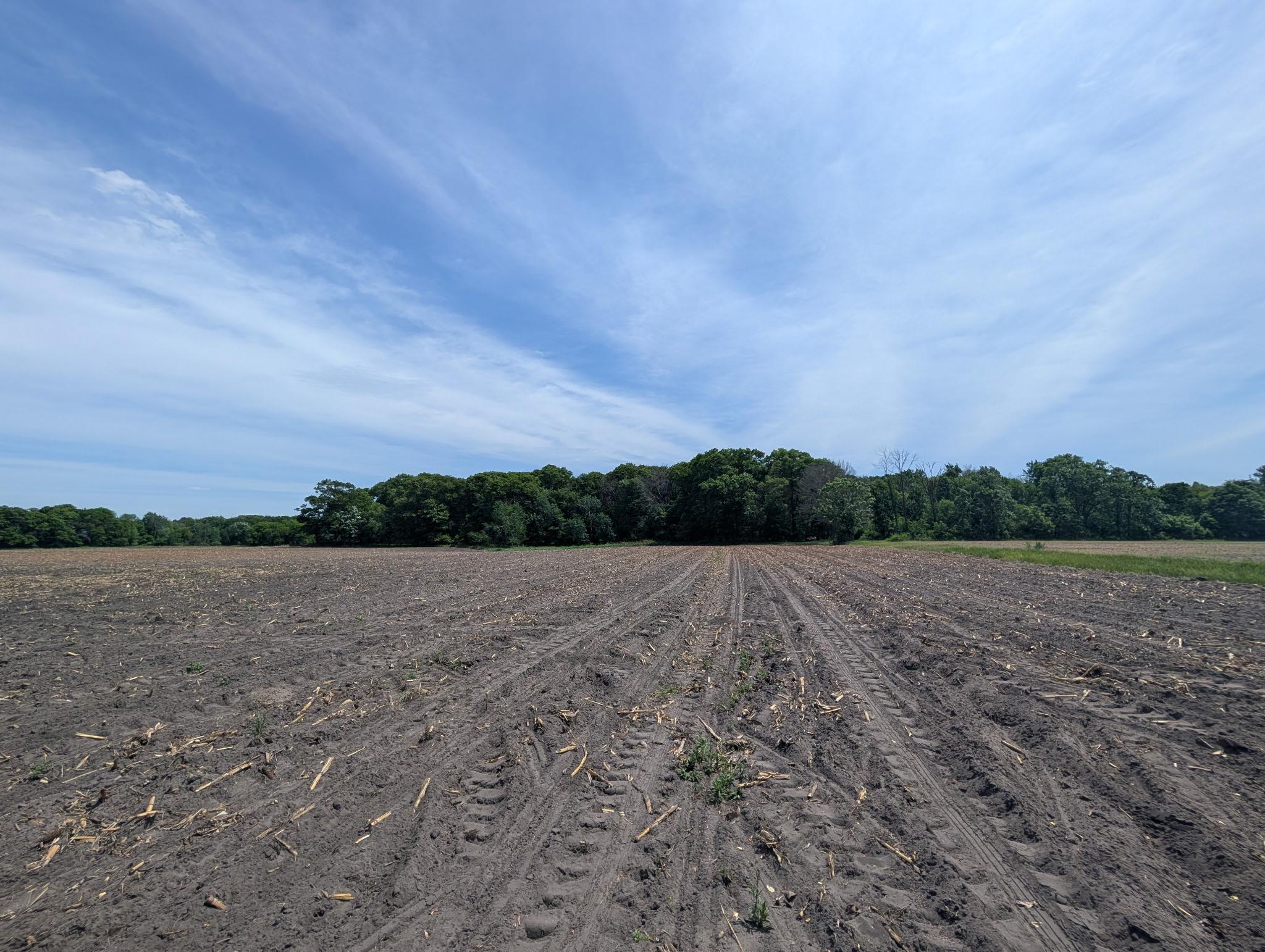 View of Land at 71xxx 165th Avenue, Becker Twp MN 55308, Becker Twp (18 of 18) - Mike Wilen | Minnesota Team Real Estate