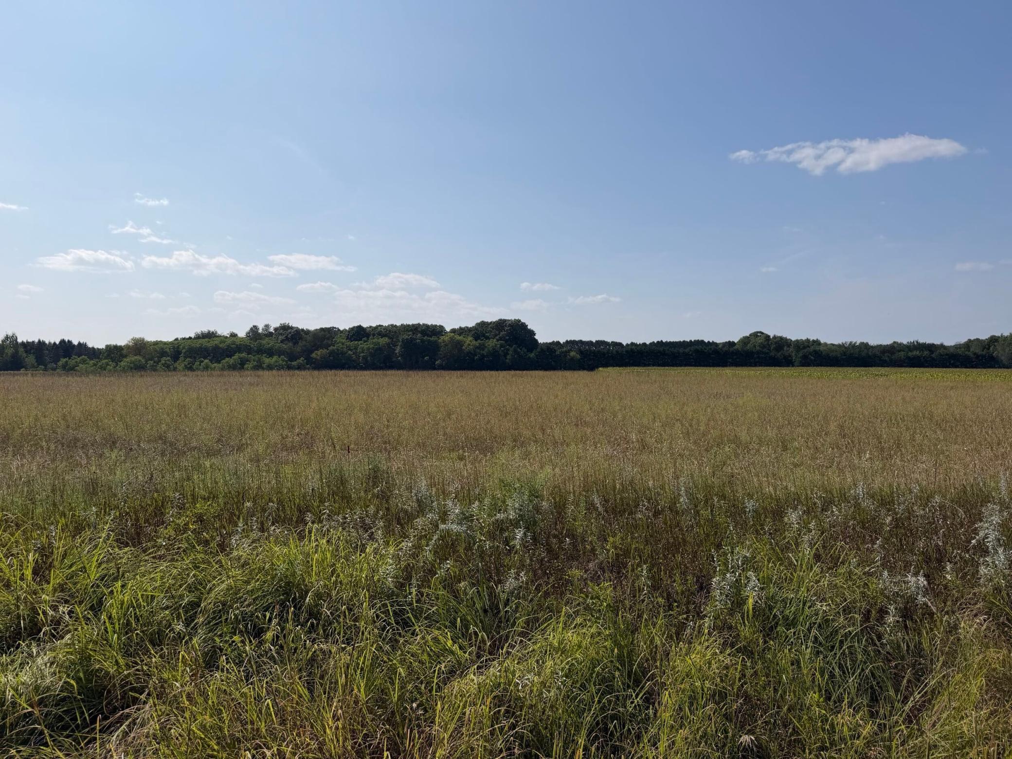 View of Residential at 34660 Grand Avenue, Stacy MN 55079, Stacy - Mike Wilen | Minnesota Team Real Estate