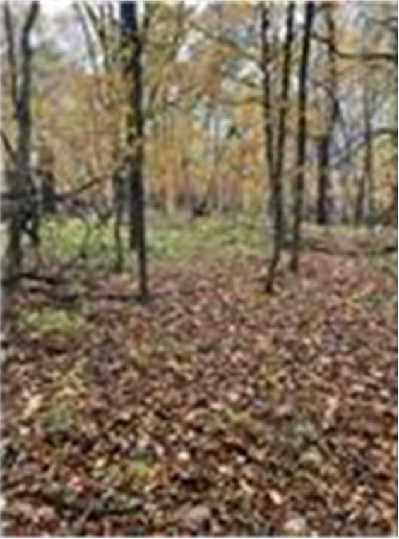 View of Land at Lot 4 Tiger Street, Princeton MN 55371, Princeton (28 of 32) - Mike Wilen | Minnesota Team Real Estate