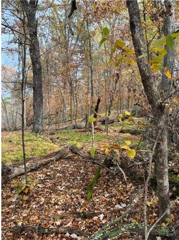 View of Land at Lot 4 Tiger Street, Princeton MN 55371, Princeton (26 of 32) - Mike Wilen | Minnesota Team Real Estate